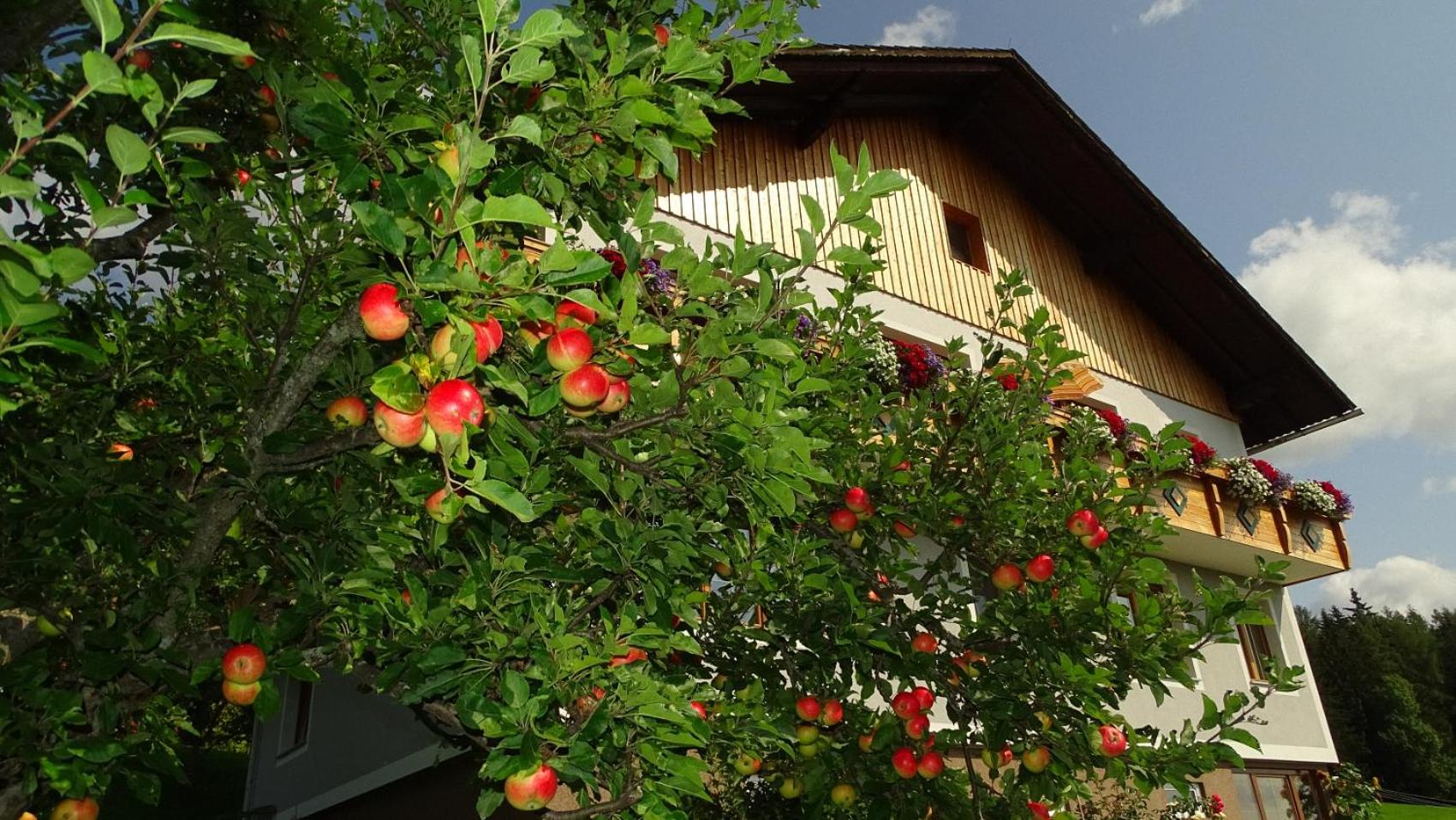 Ferienwohnung Greim