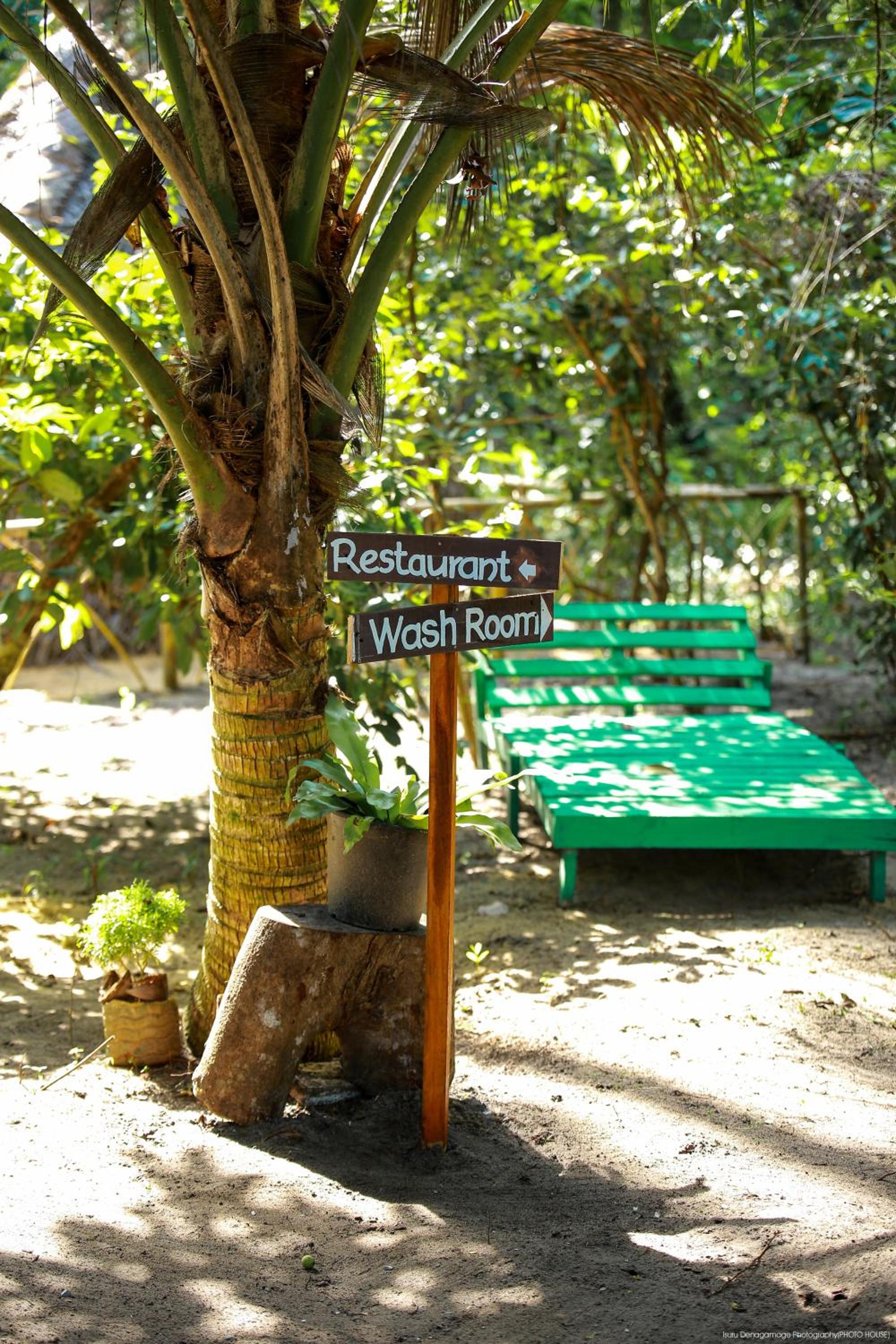 Jungle Paradise