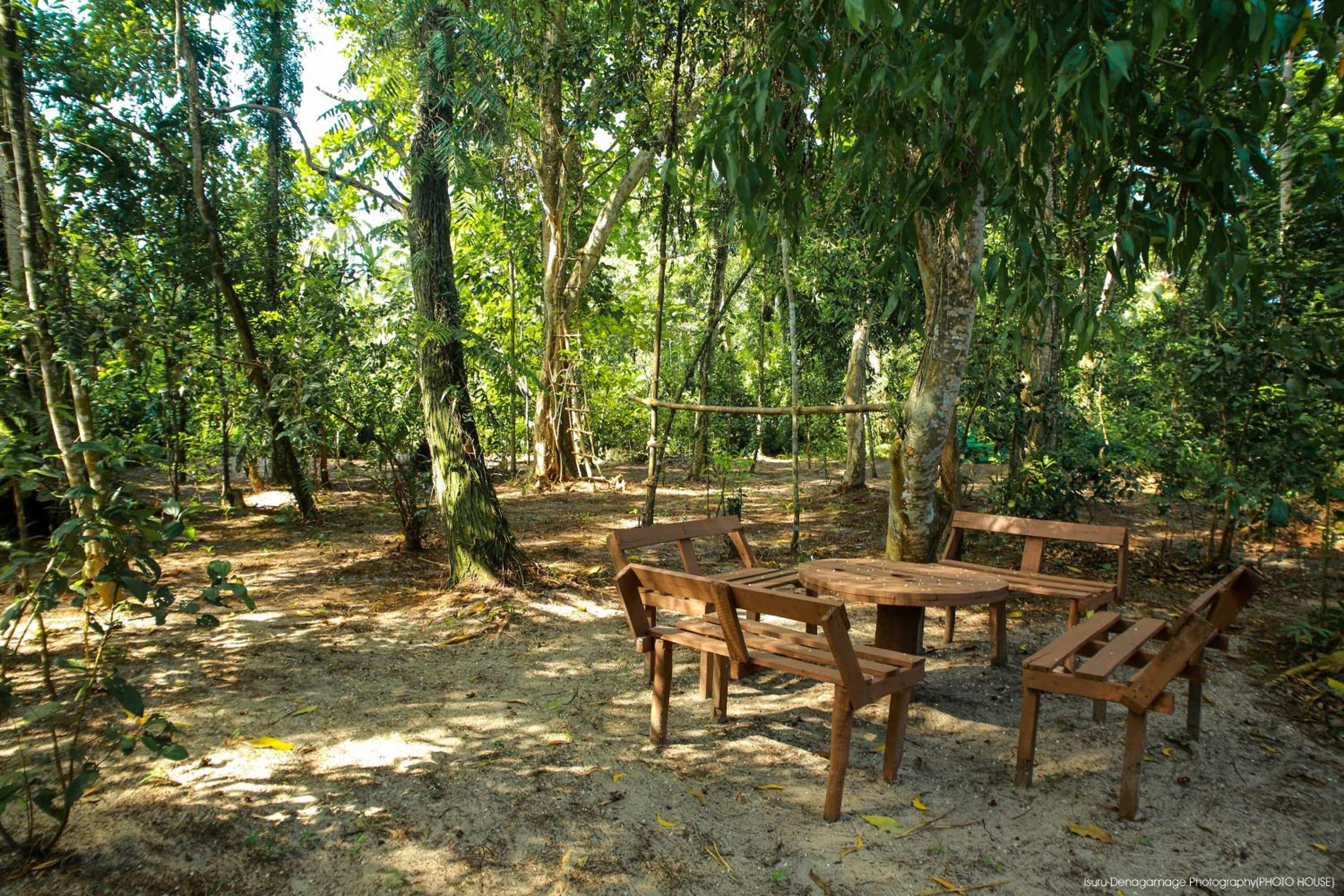 Jungle Paradise