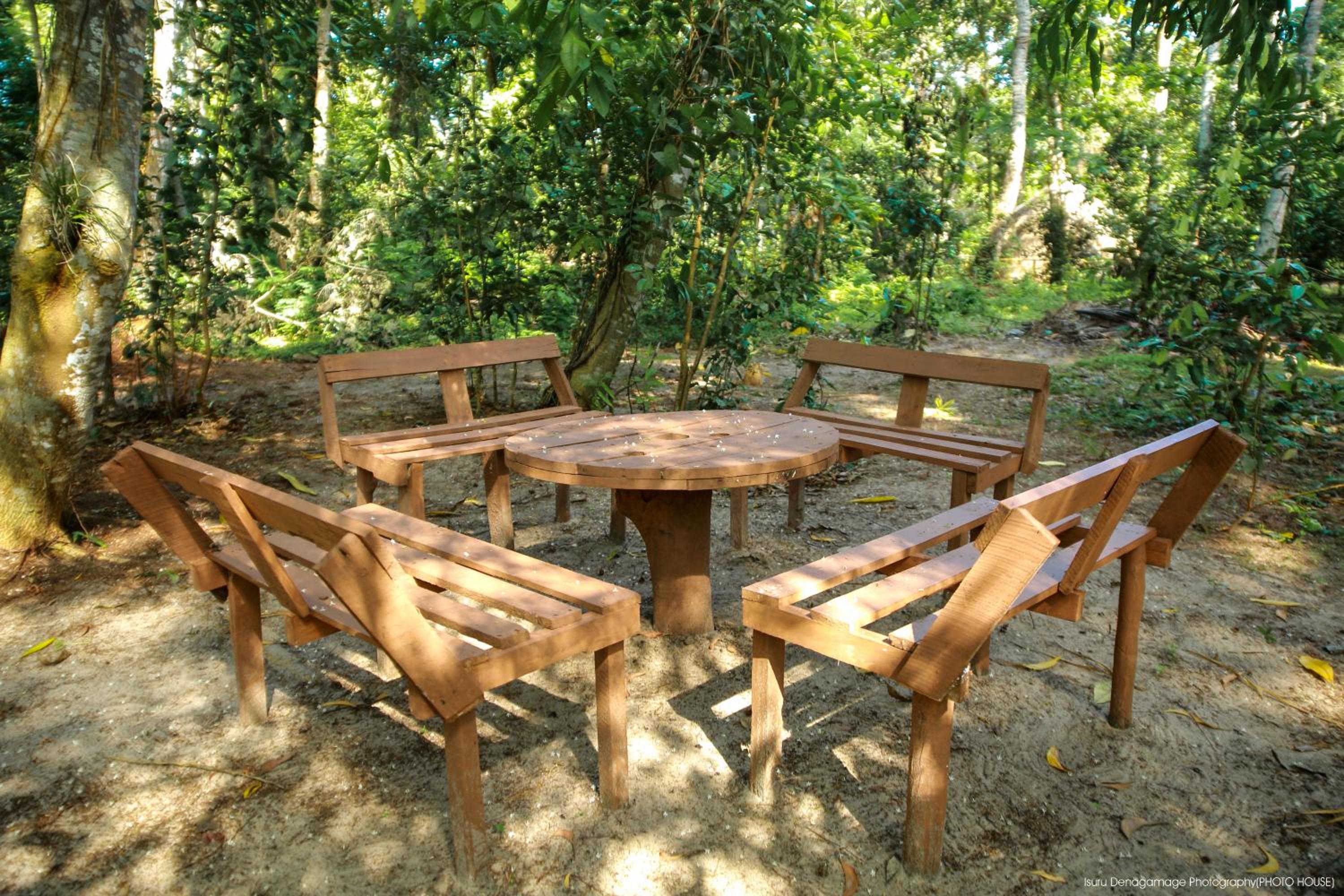 Jungle Paradise