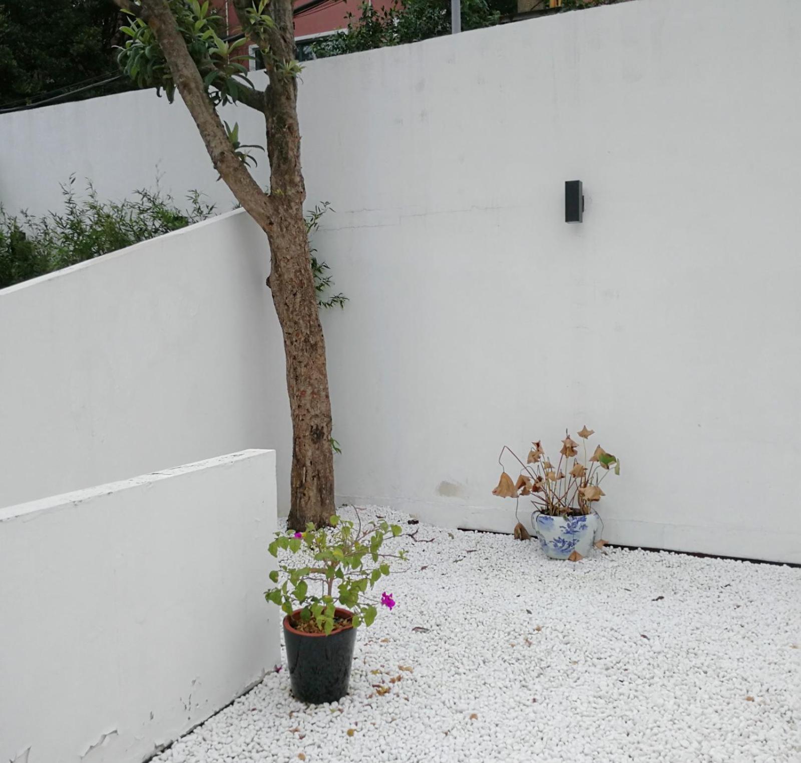 Hidden Garden Youth Hostel -Oriental Pearl &Lujiazui -Garden Social Area -Bar -Café -Free Laundry Luggage Storage -24H Front Desk -English Service