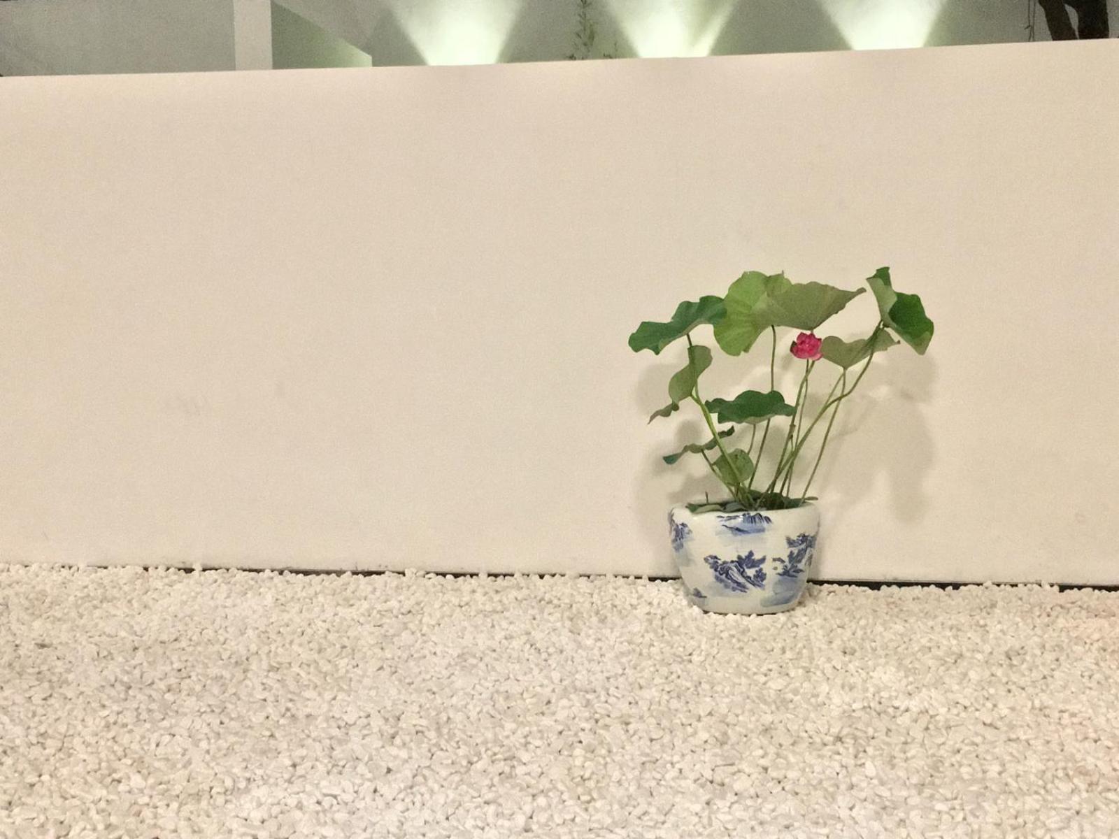 Hidden Garden Youth Hostel -Oriental Pearl &Lujiazui -Garden Social Area -Bar -Café -Free Laundry Luggage Storage -24H Front Desk -English Service
