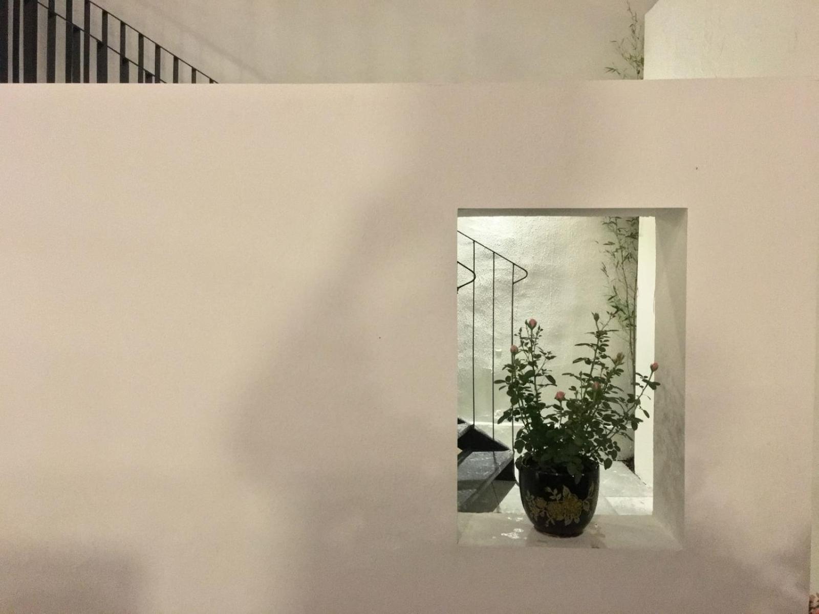 Hidden Garden Youth Hostel -Oriental Pearl &Lujiazui -Garden Social Area -Bar -Café -Free Laundry Luggage Storage -24H Front Desk -English Service
