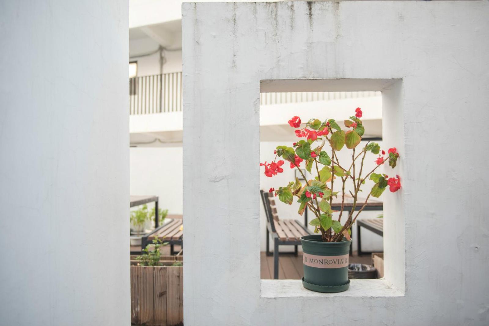 Hidden Garden Youth Hostel -Oriental Pearl &Lujiazui -Garden Social Area -Bar -Café -Free Laundry Luggage Storage -24H Front Desk -English Service