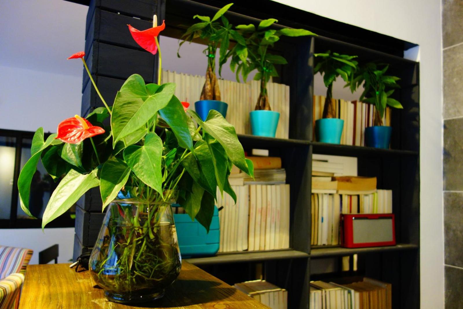 Hidden Garden Youth Hostel -Oriental Pearl &Lujiazui -Garden Social Area -Bar -Café -Free Laundry Luggage Storage -24H Front Desk -English Service