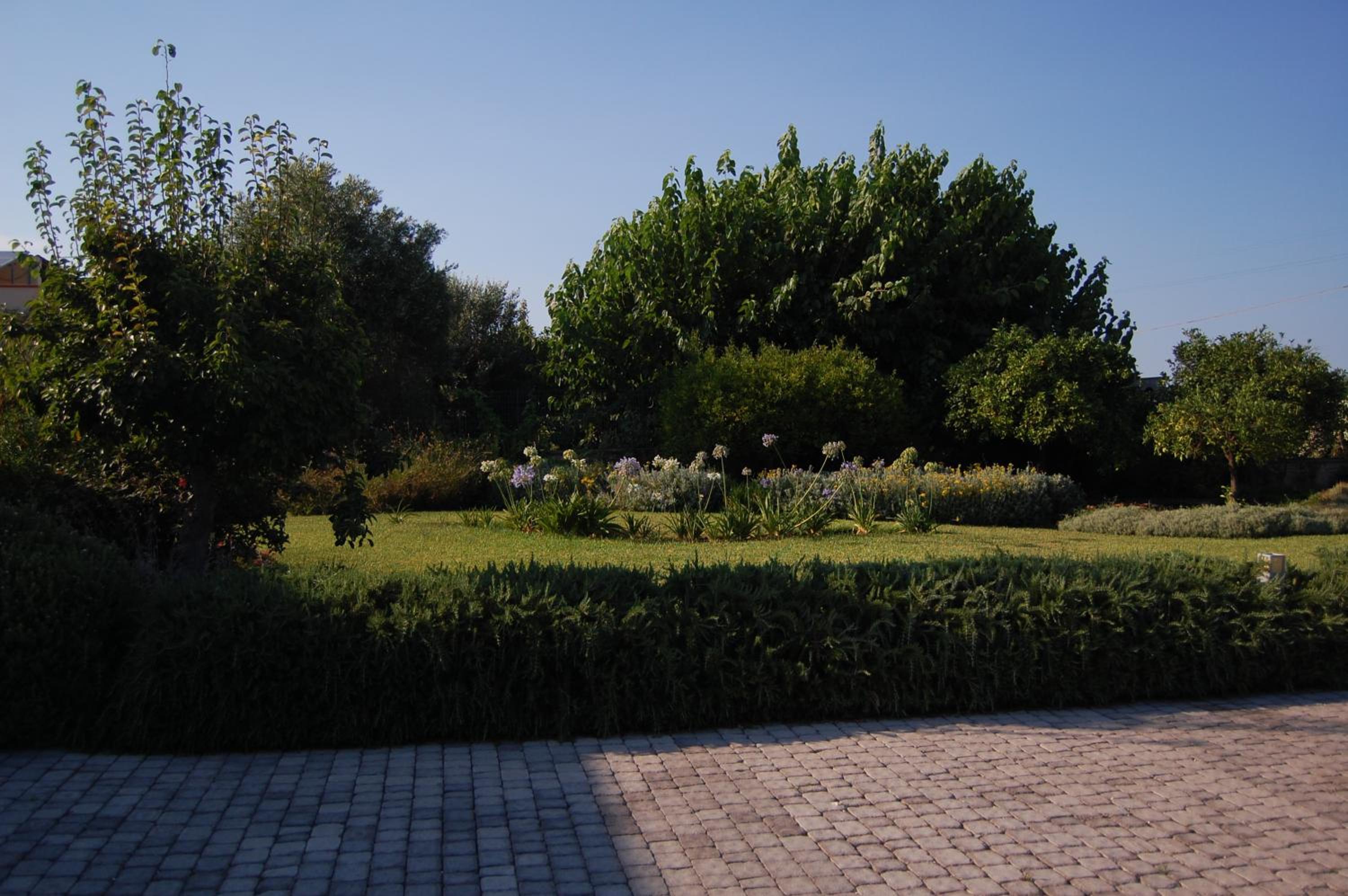 Photo 37