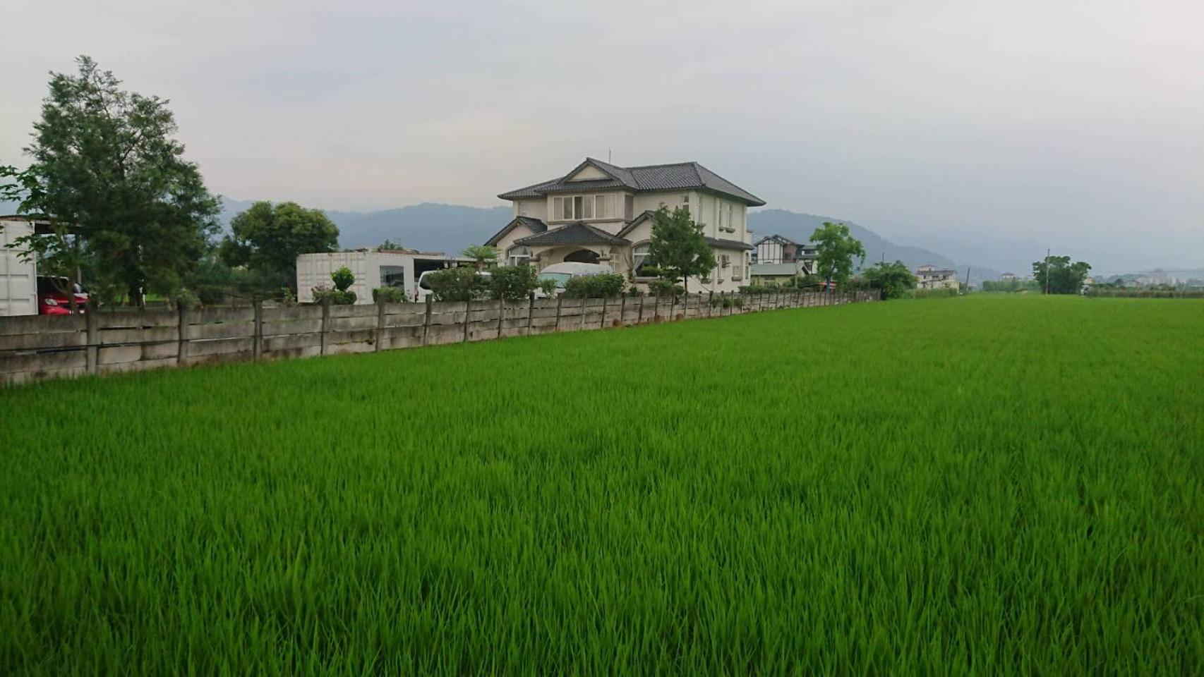 New Flower Homestay view 4
