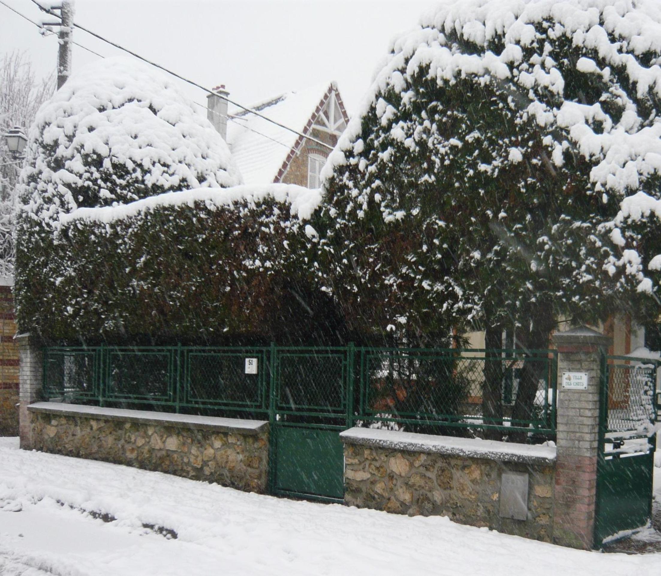 Photo 23