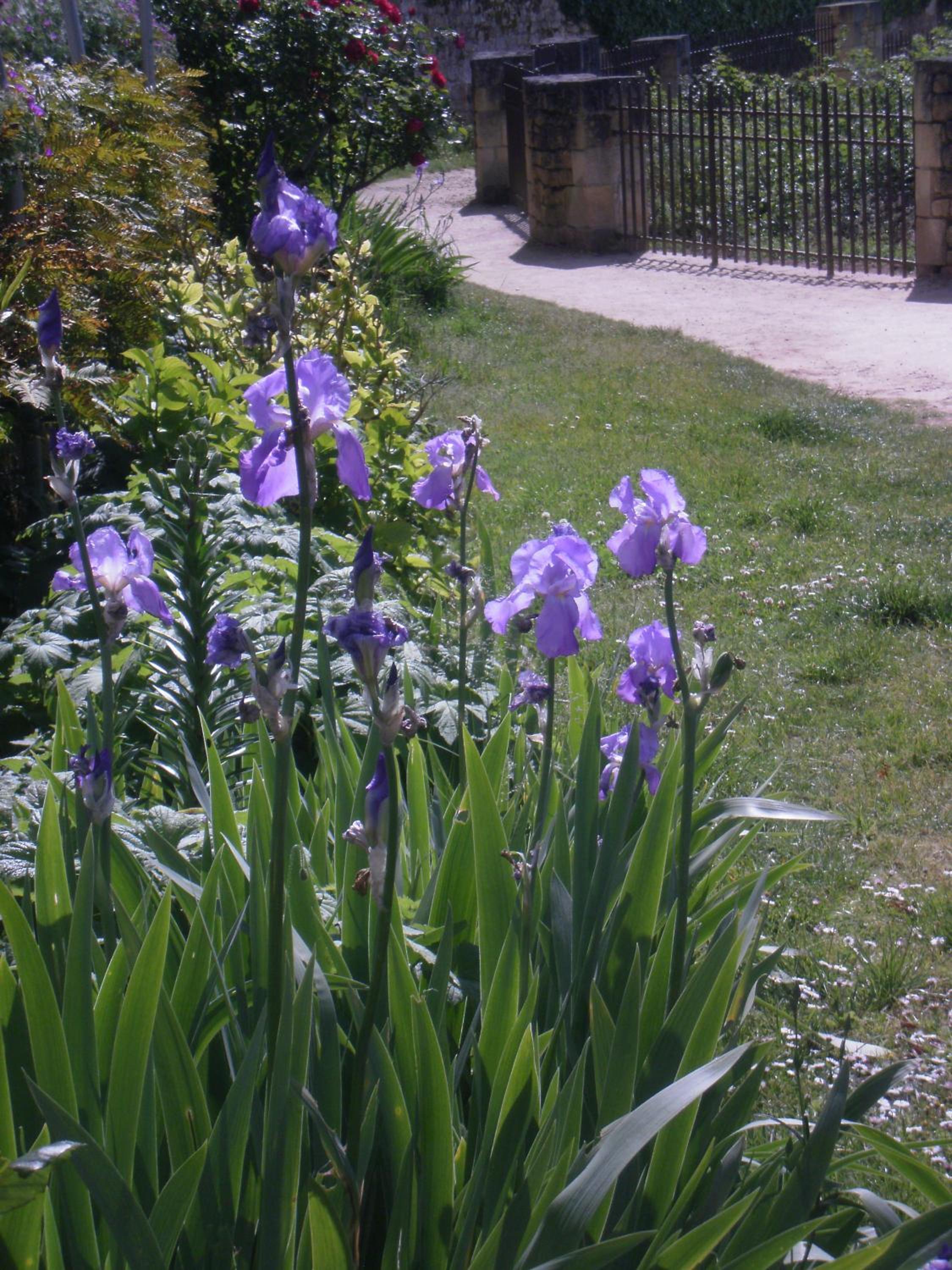 Photo 14