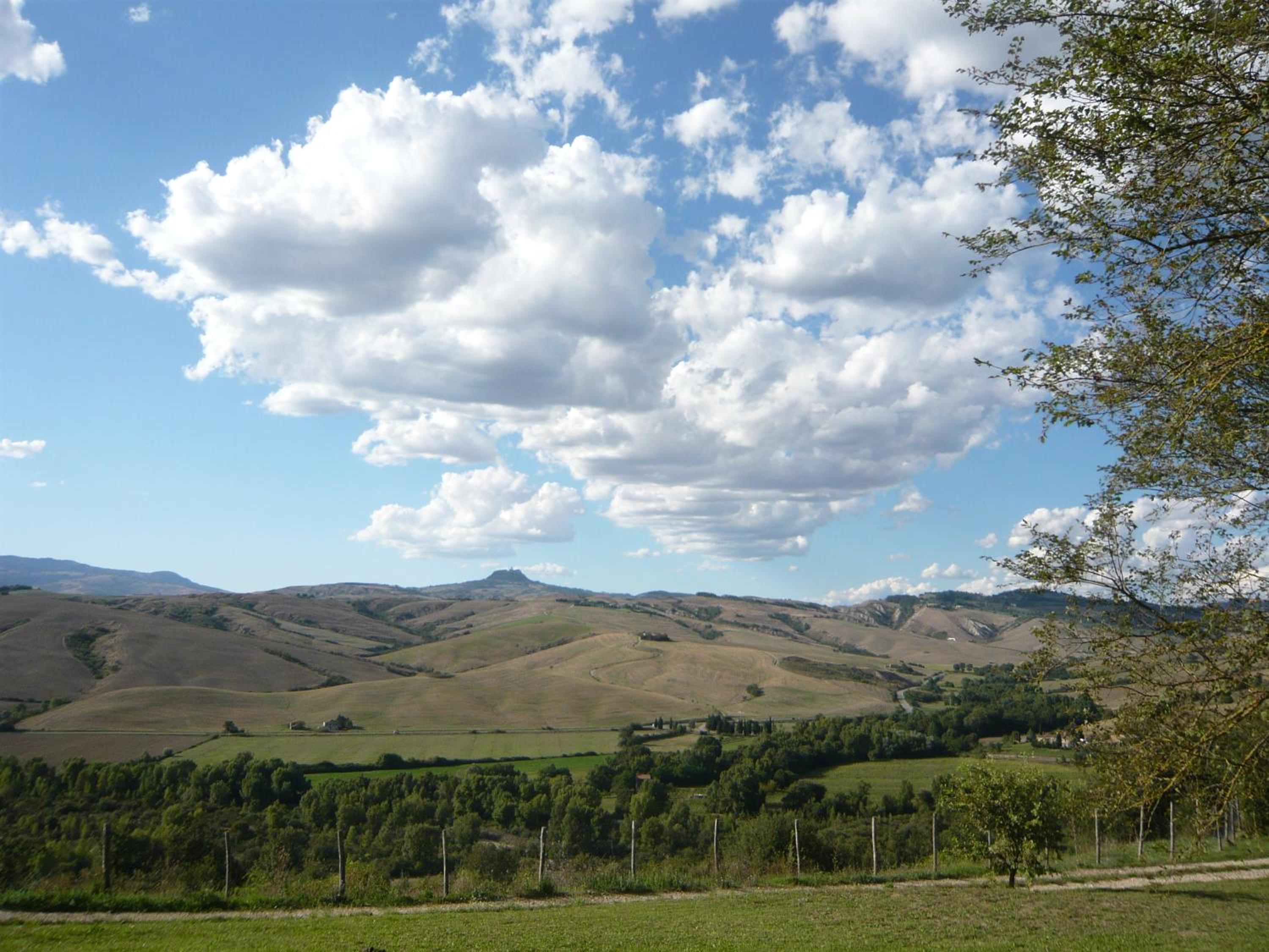 Photo 49