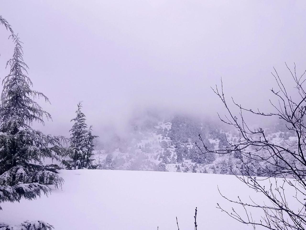 House On The Mountain photo 4