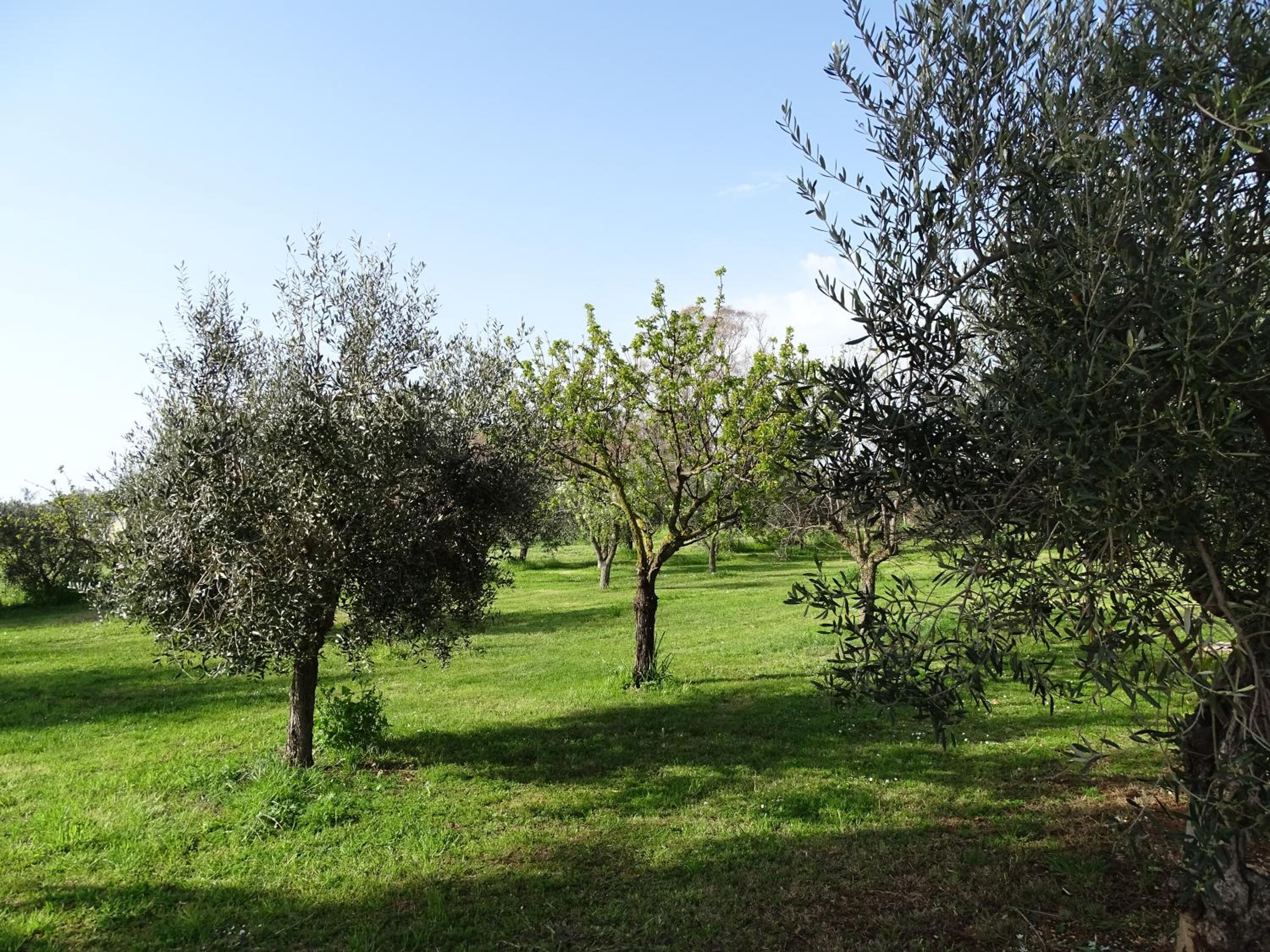Podere 1248 en Ladispoli