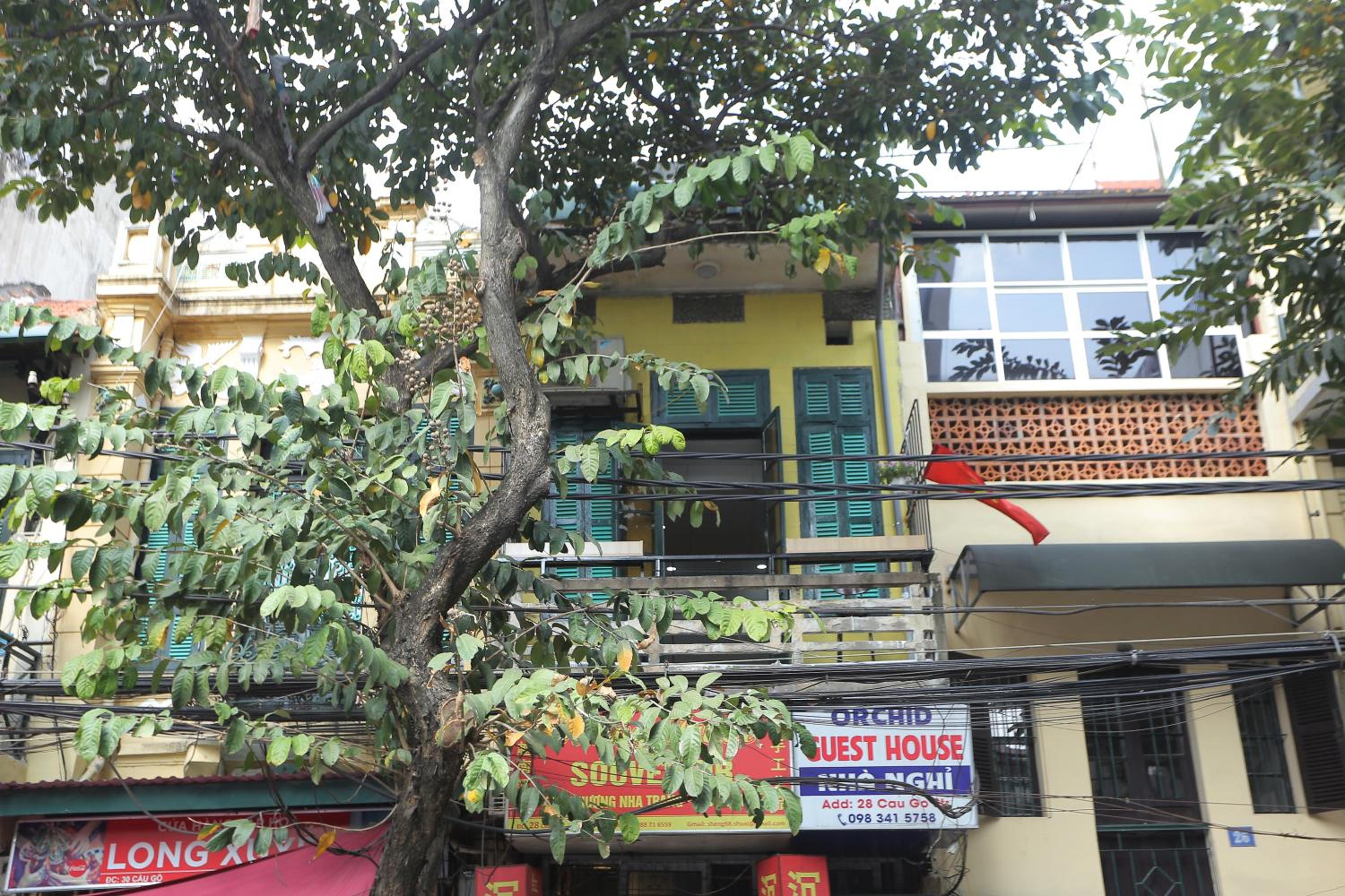 building