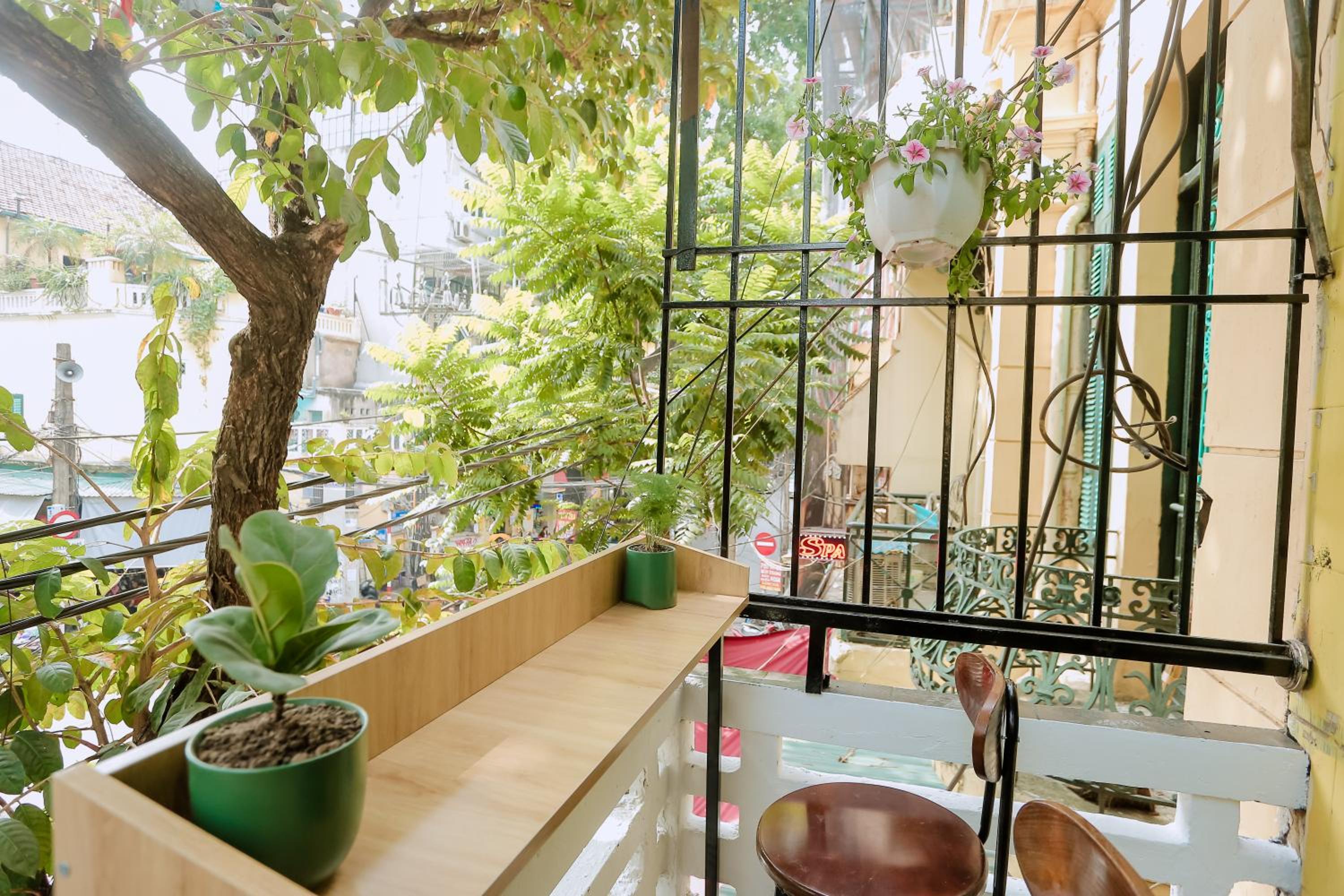balance & terrace