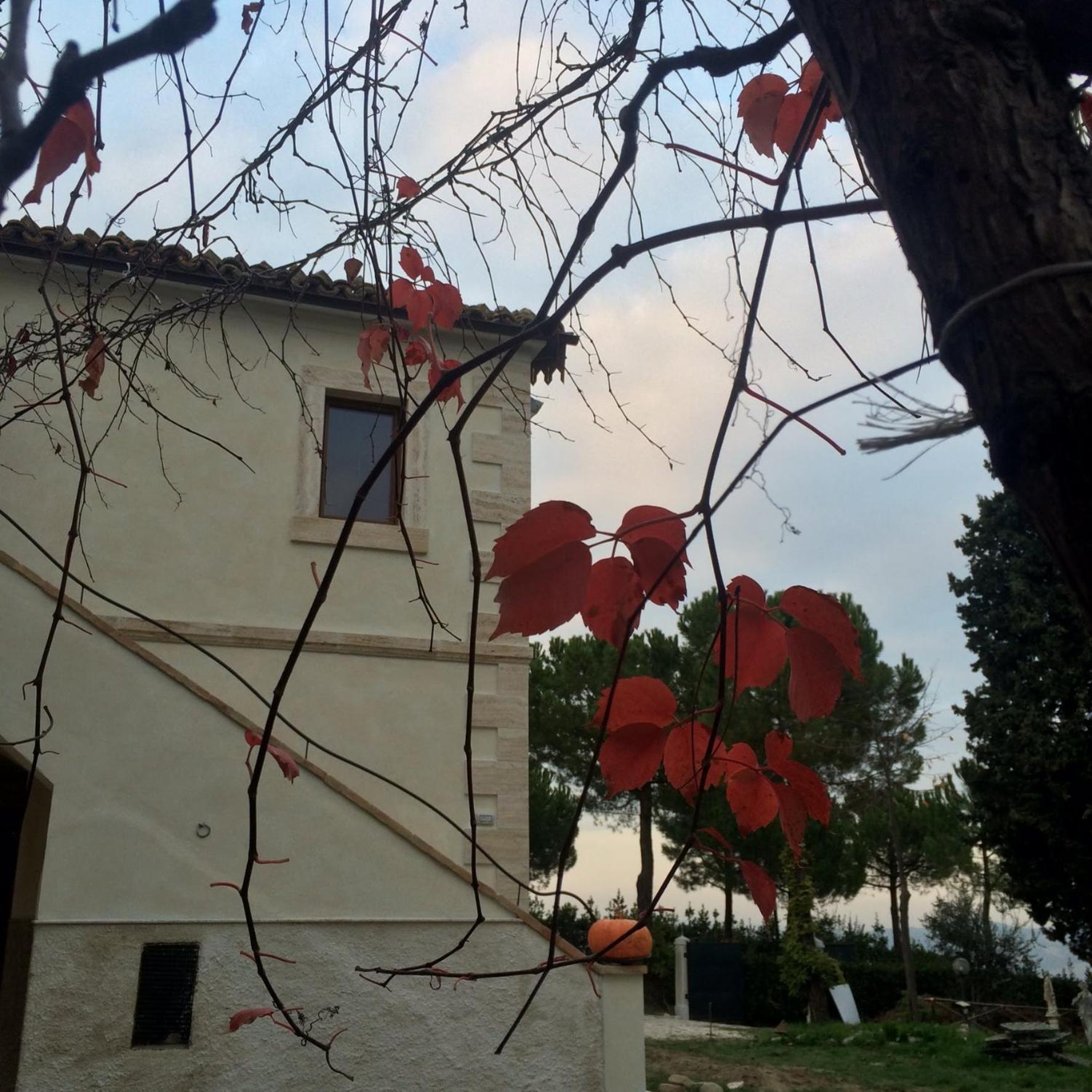 Photo 36