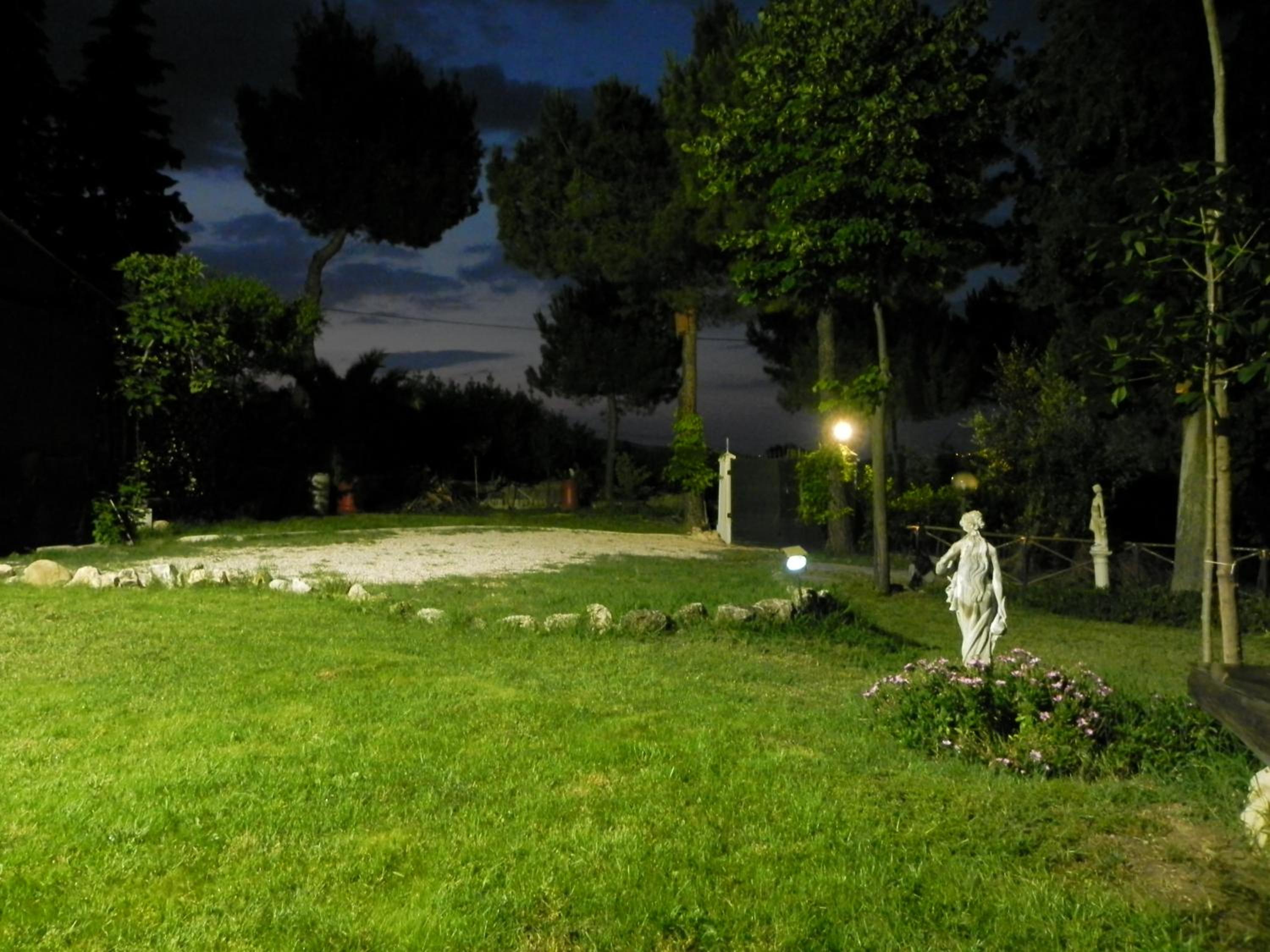 Photo 22