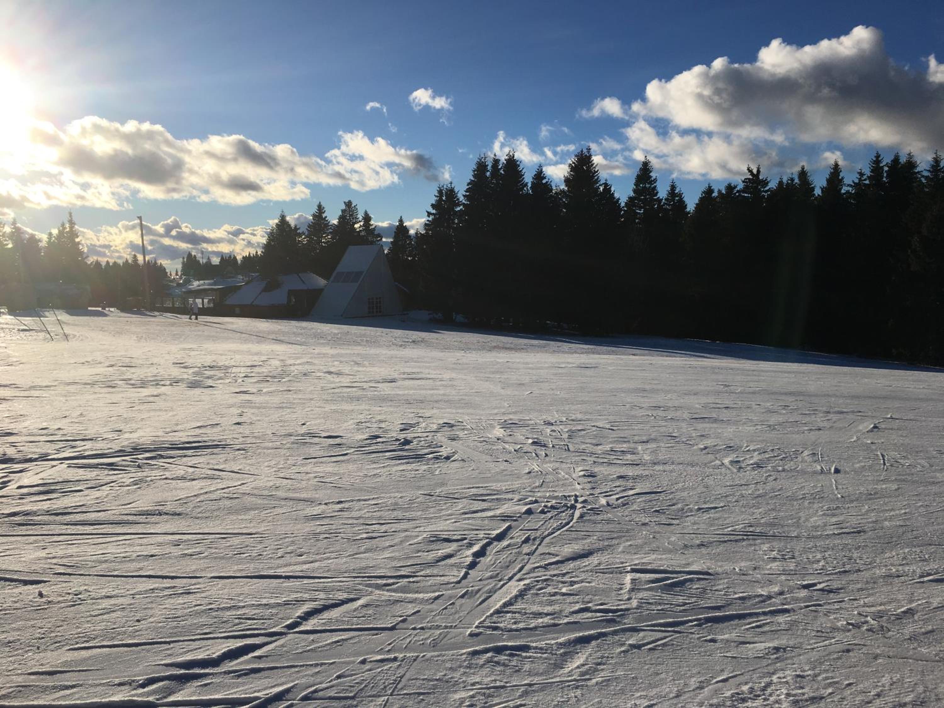 Apartma Rogla - Gaber 98