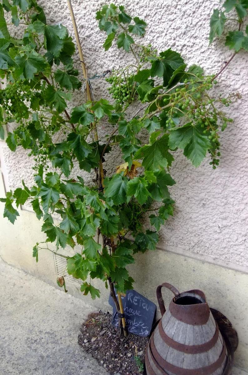 Photo 23