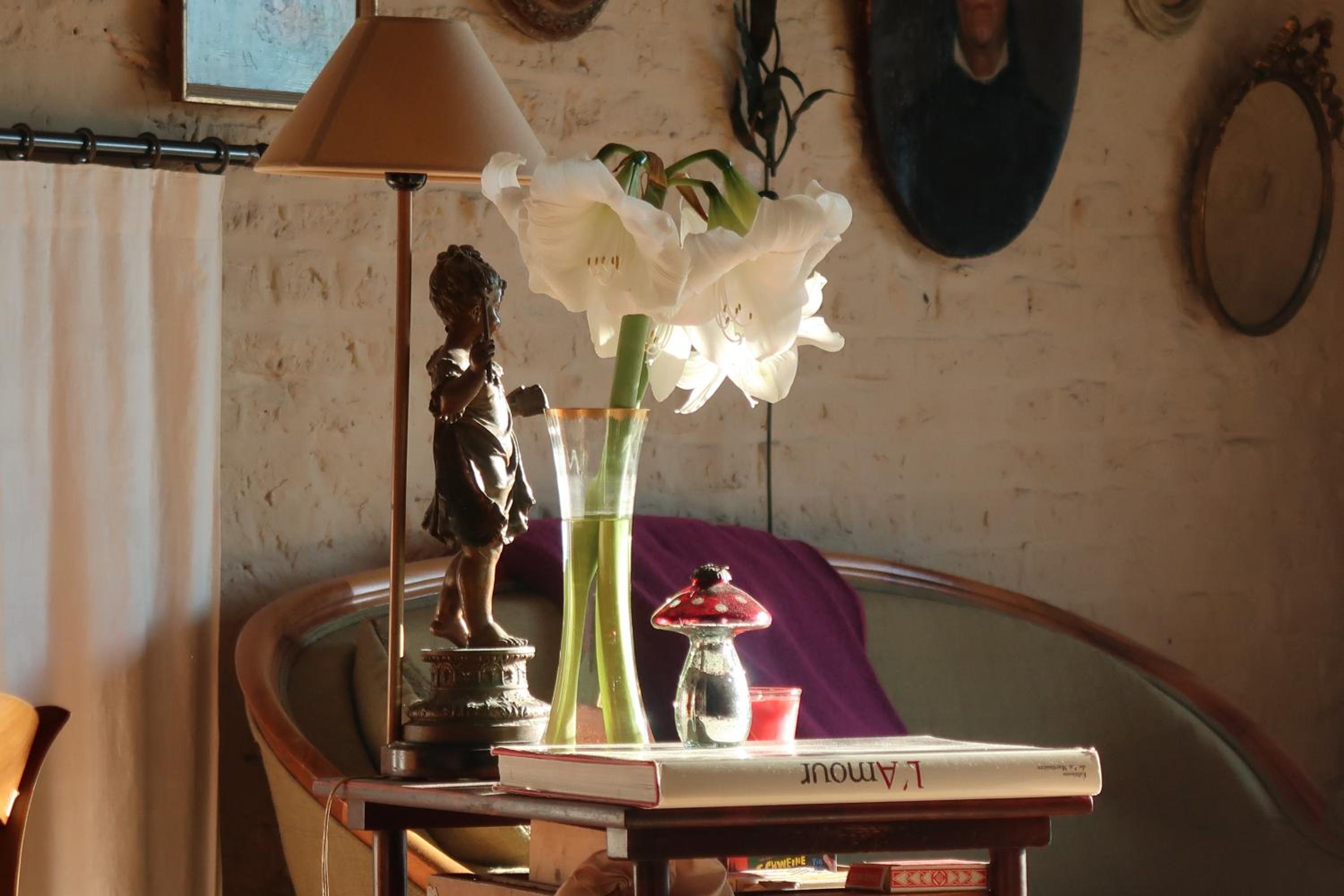 La Passiflore B&B