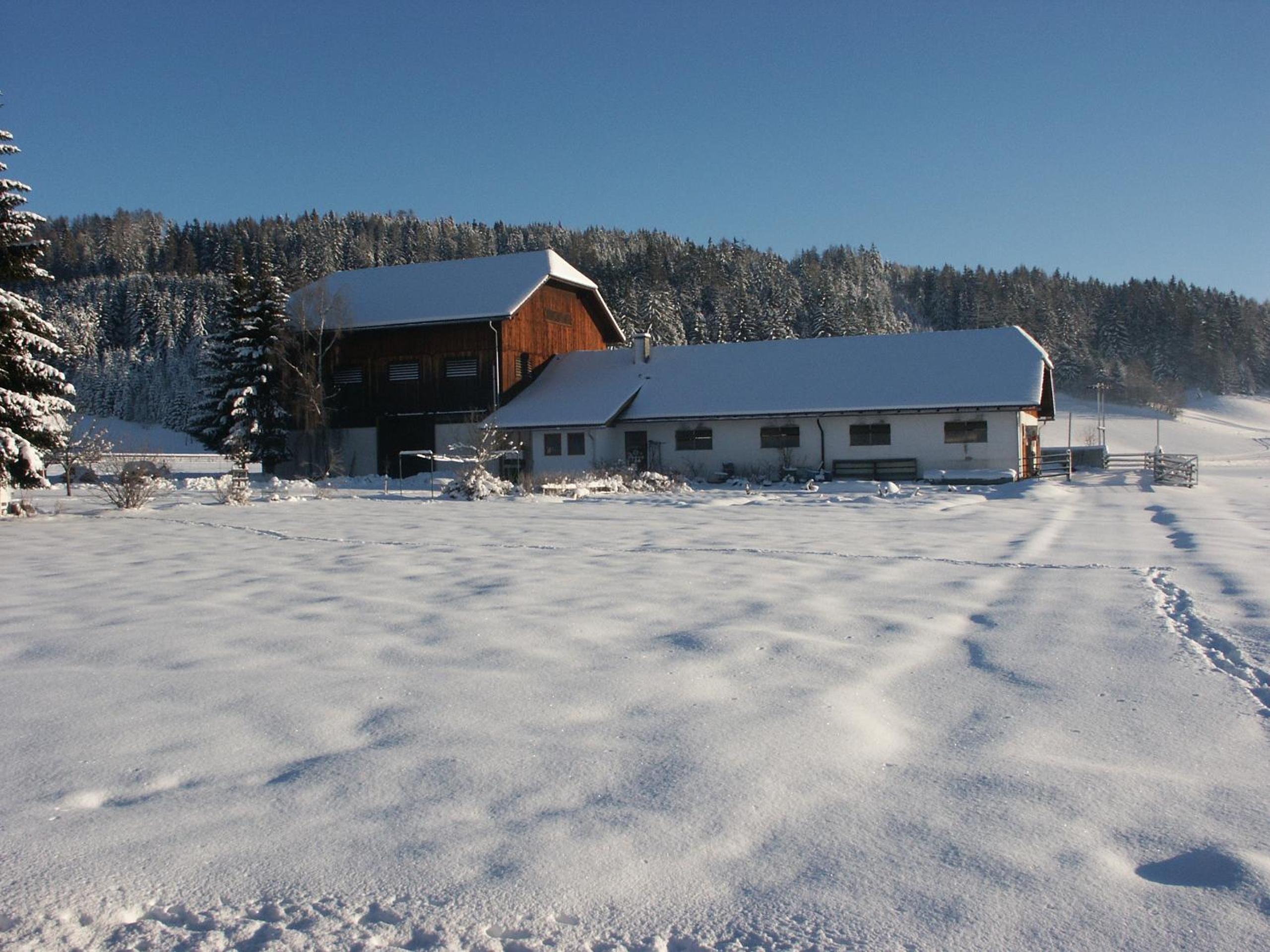 Bio Bauernhof Schoberhof
