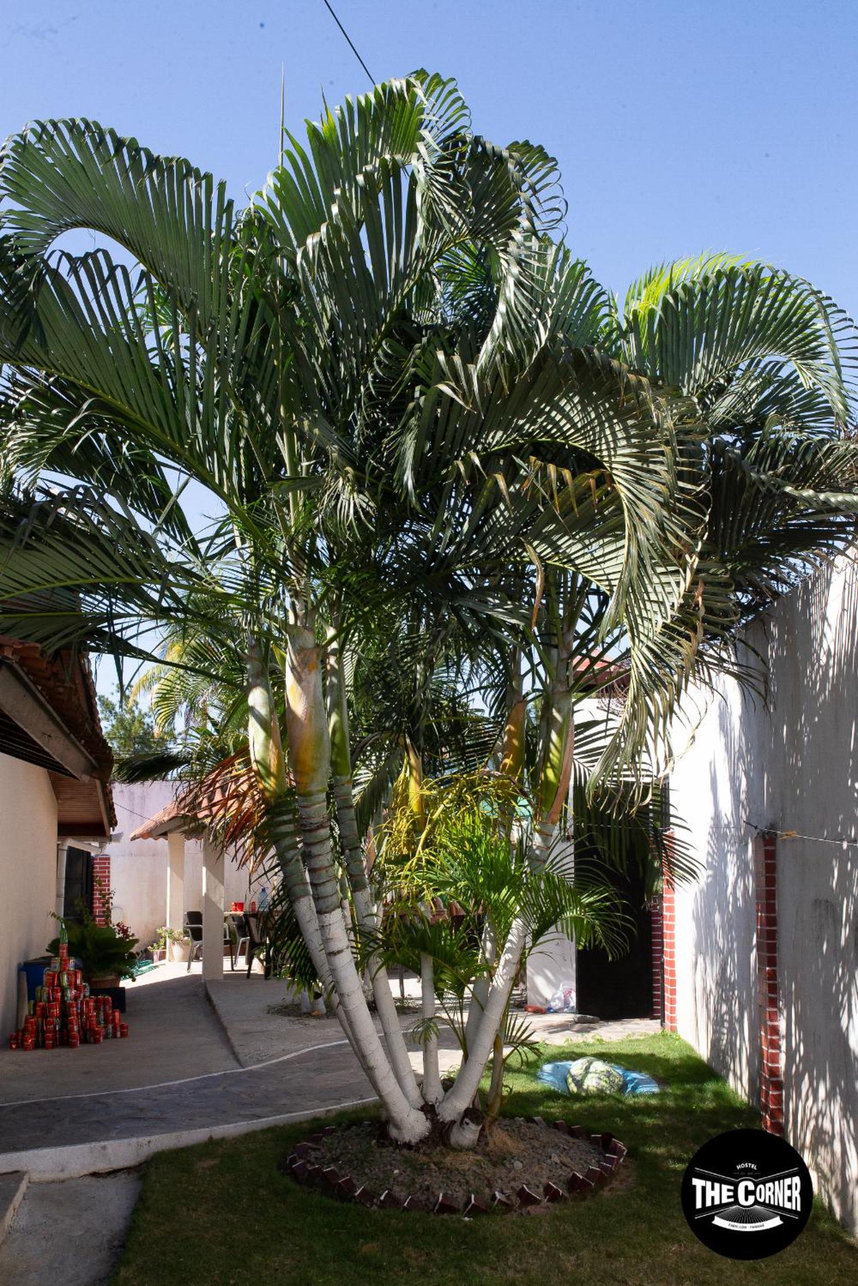 Photo 24