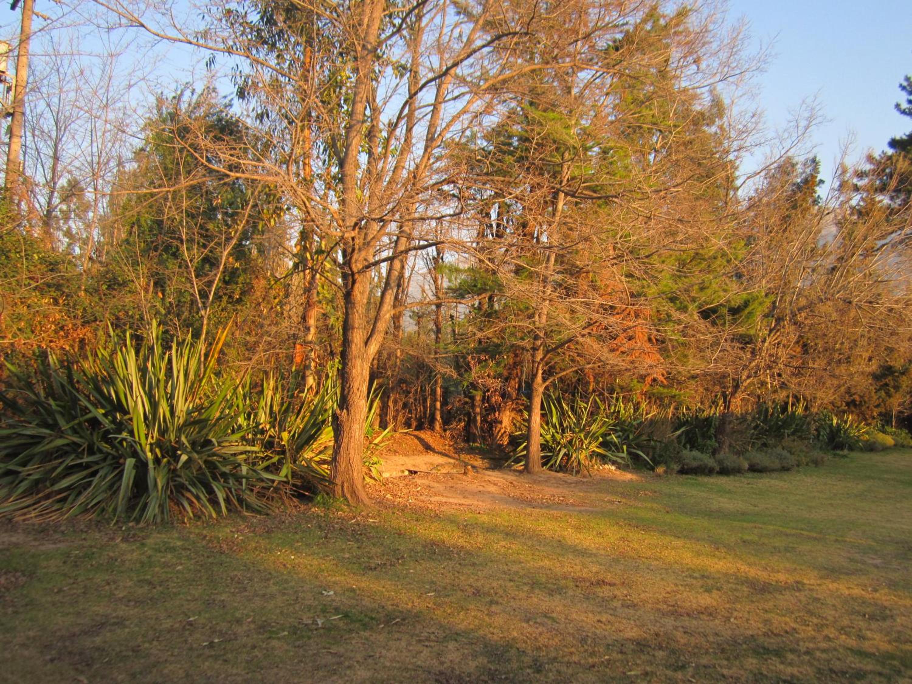 Photo 29