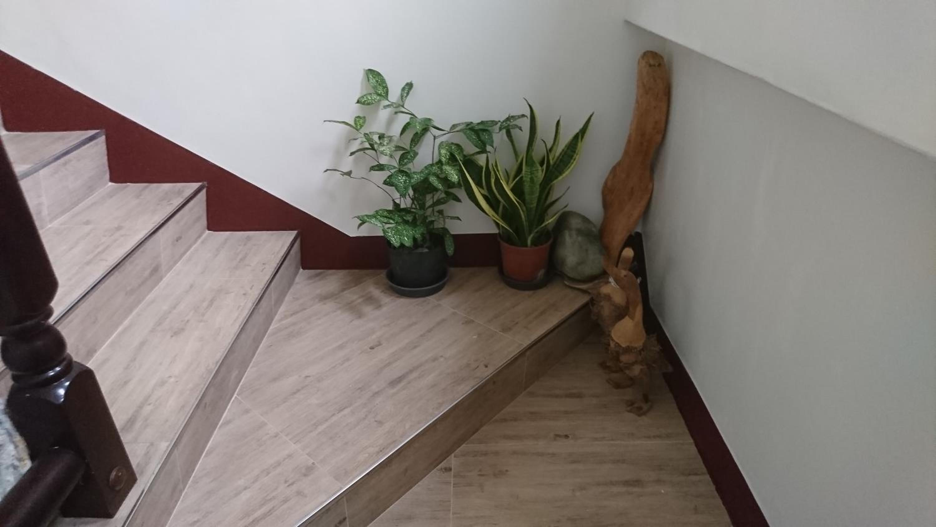 Photo 38