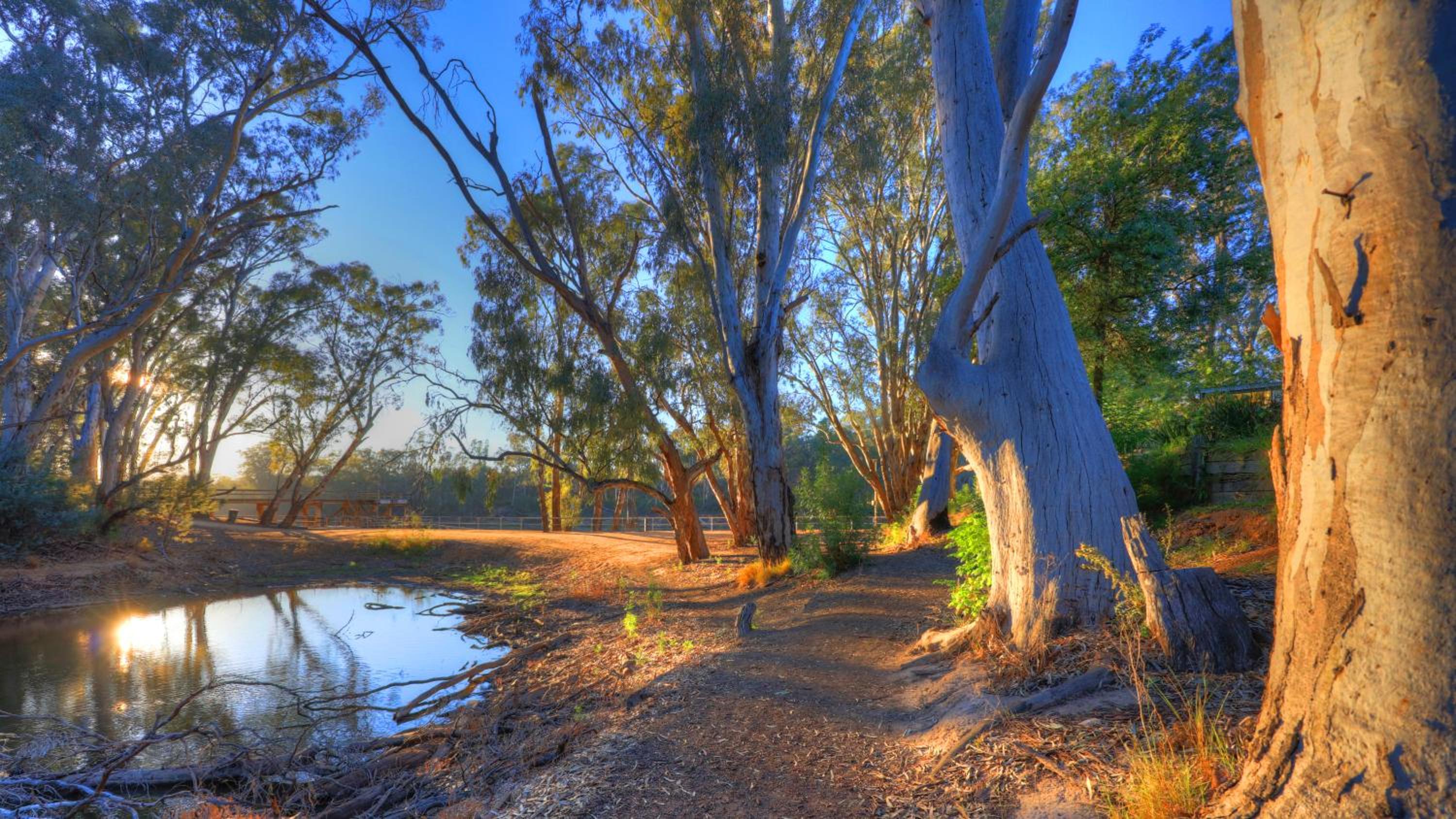 Moama Riverside Holiday Park