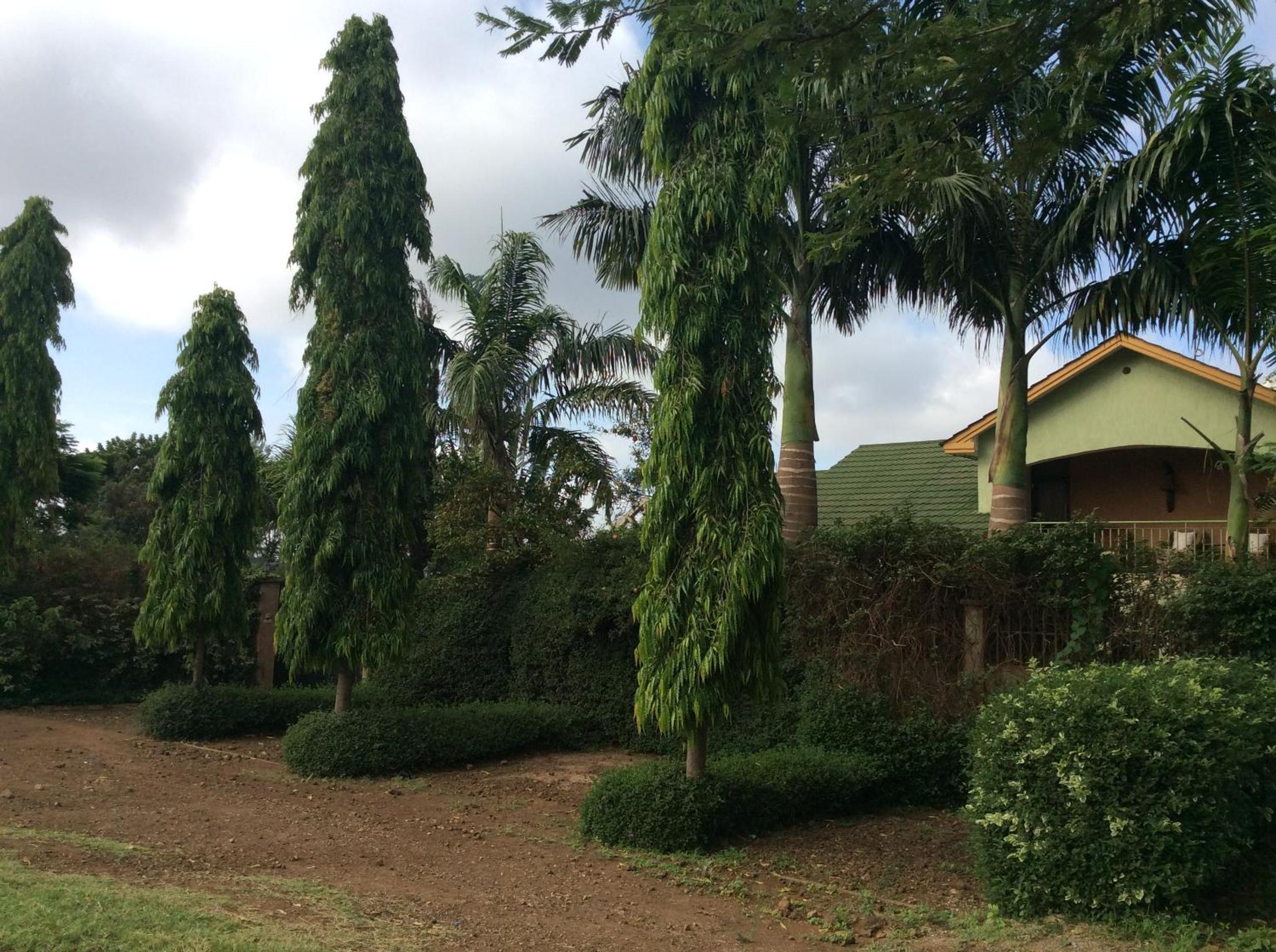 Korona House Hotel