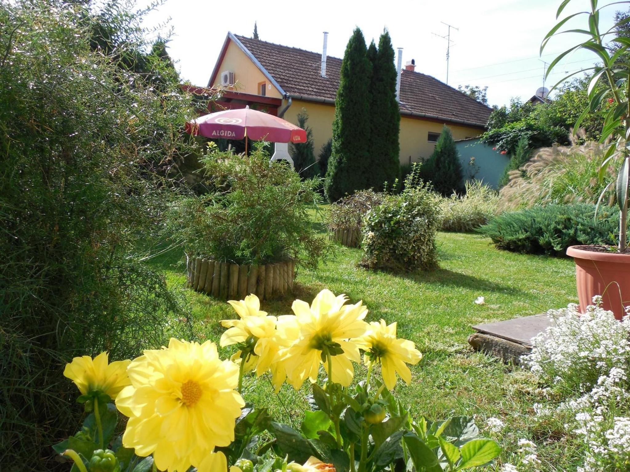 ENZO Apartman Gyula view 2