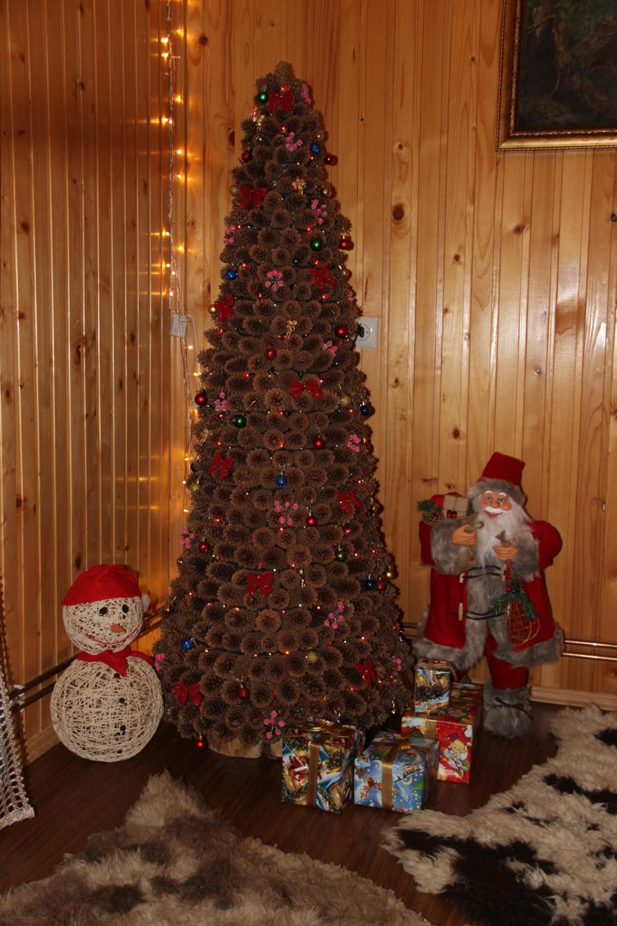 Photo 29