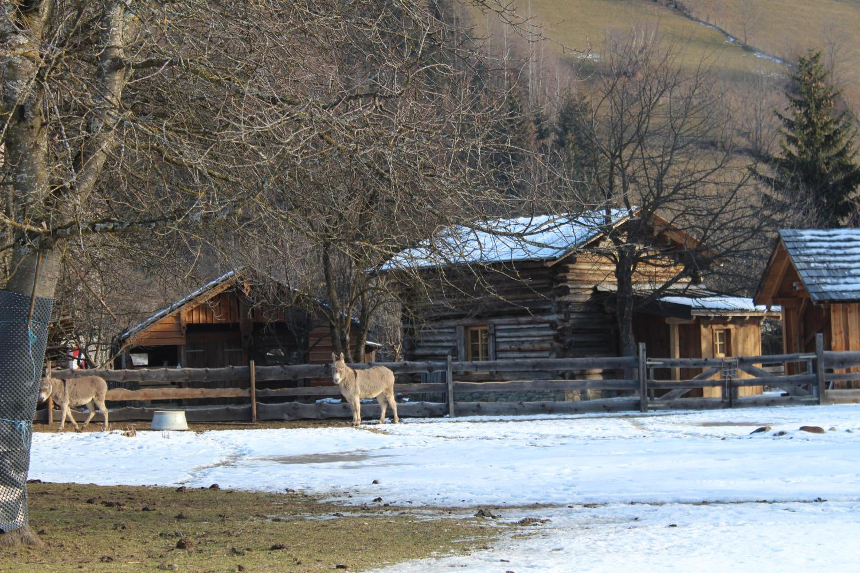 Schlosswirt Chalets & Apartments