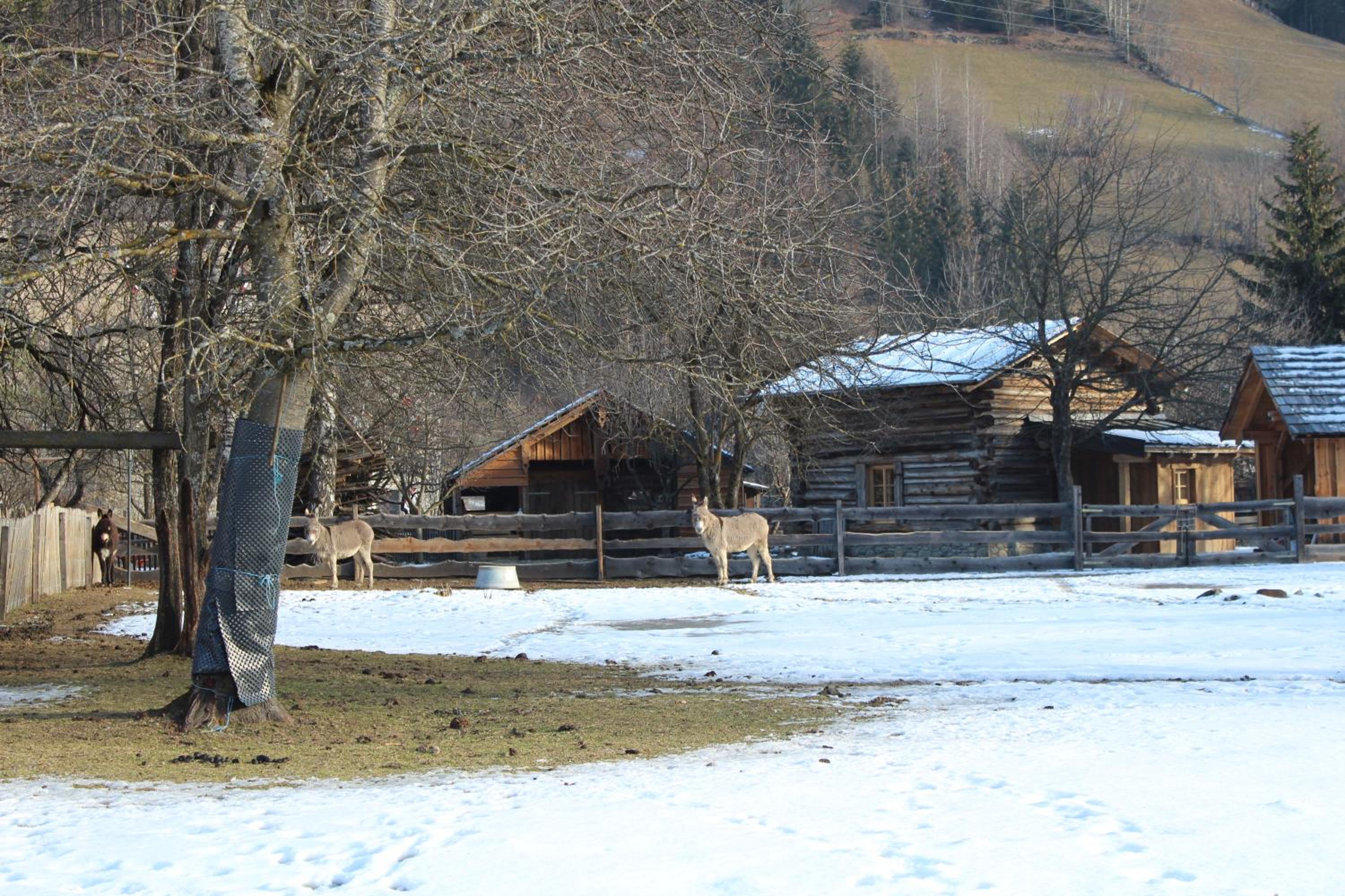 Schlosswirt Chalets & Apartments
