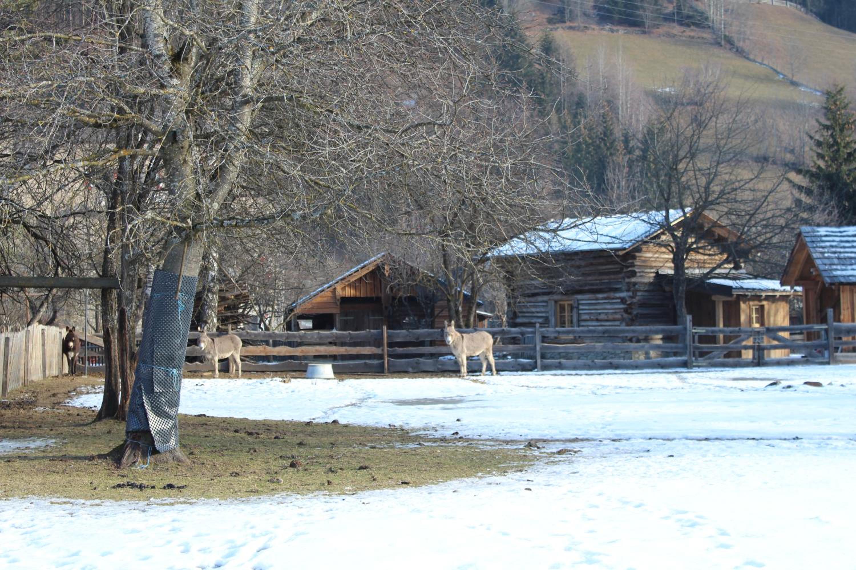 Schlosswirt Chalets & Apartments