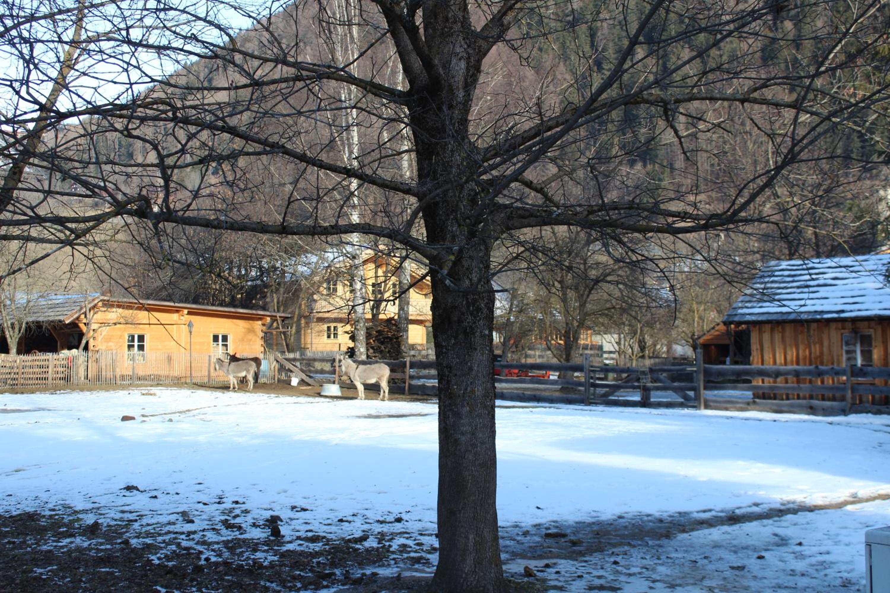 Schlosswirt Chalets & Apartments