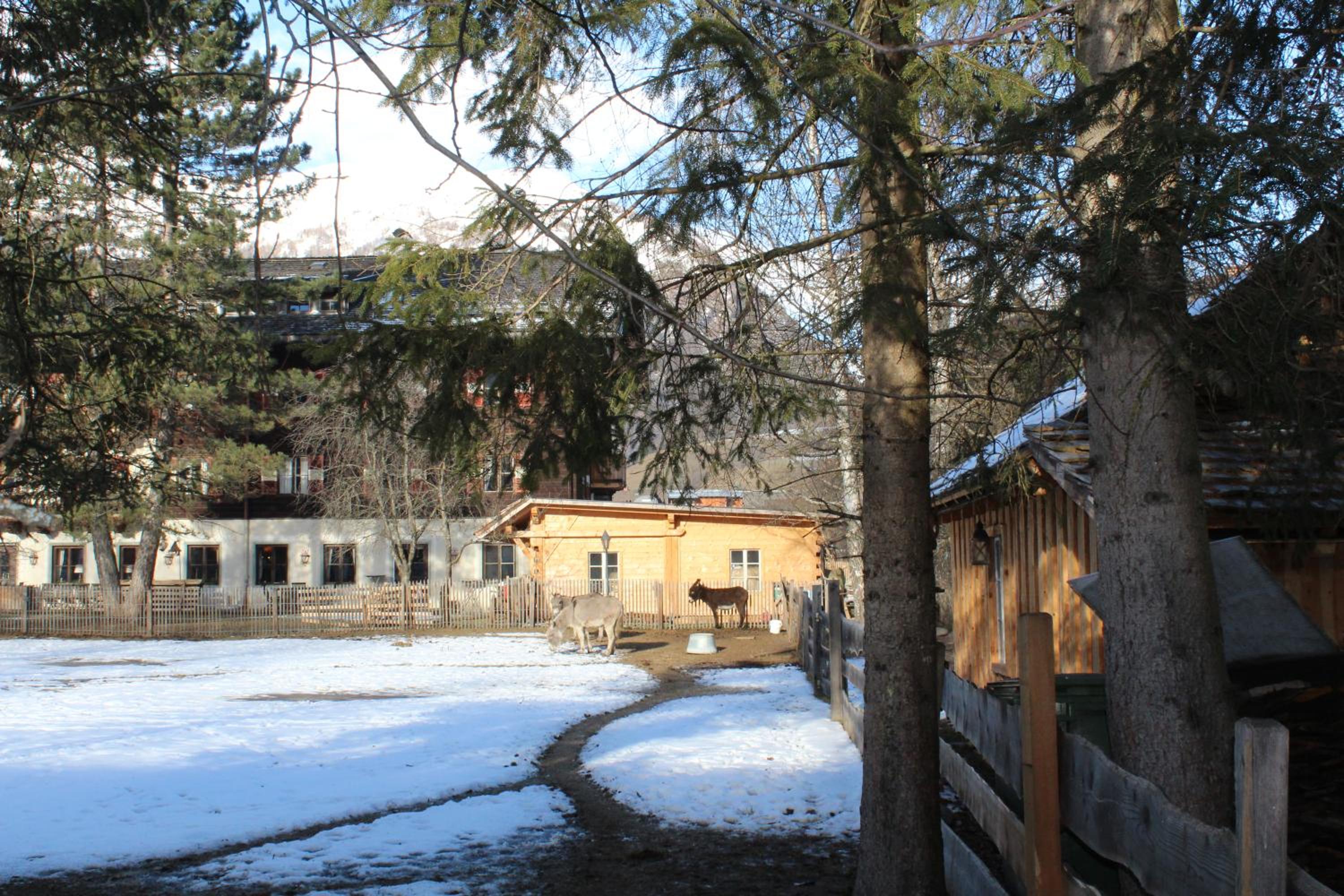 Schlosswirt Chalets & Apartments