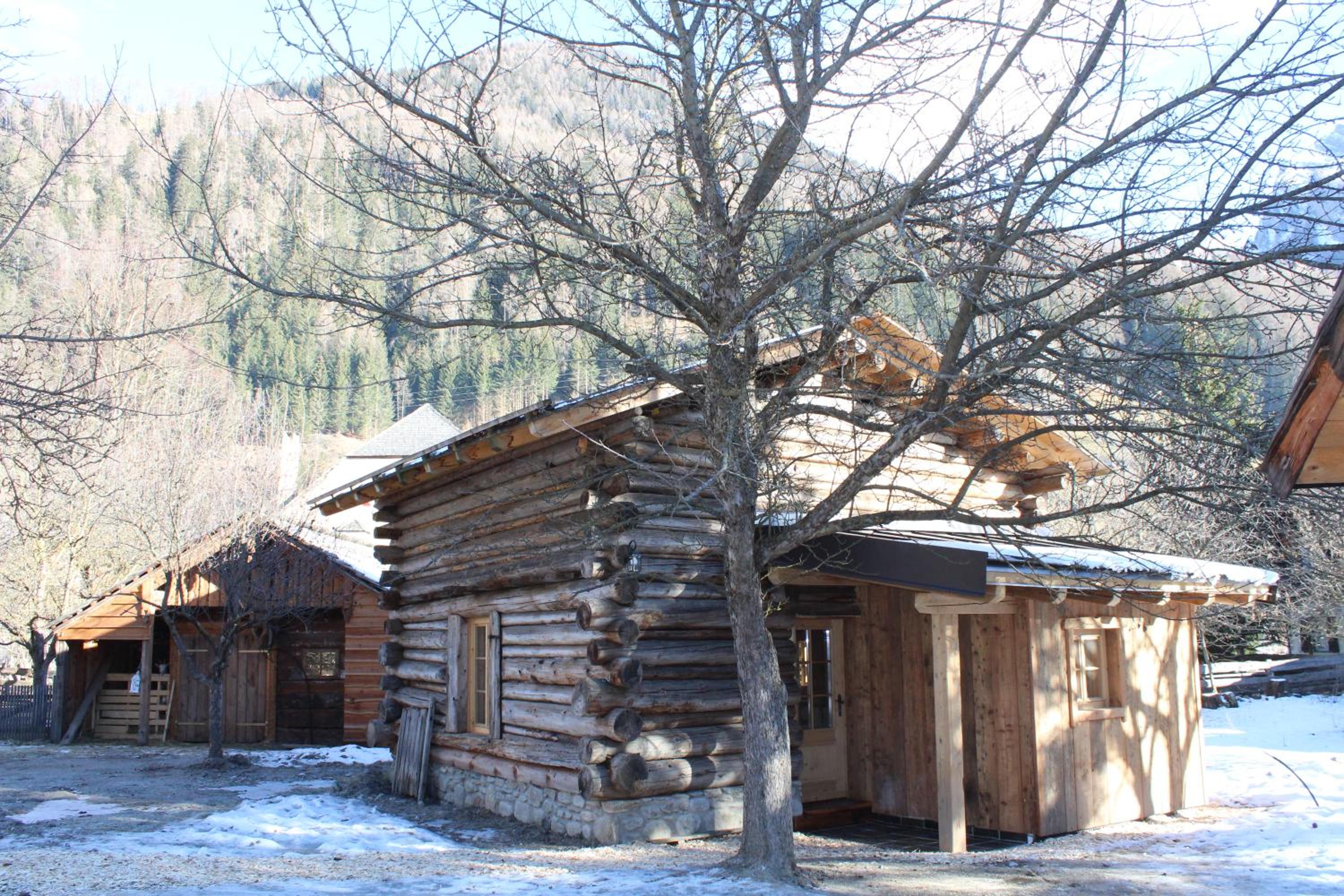 Schlosswirt Chalets & Apartments