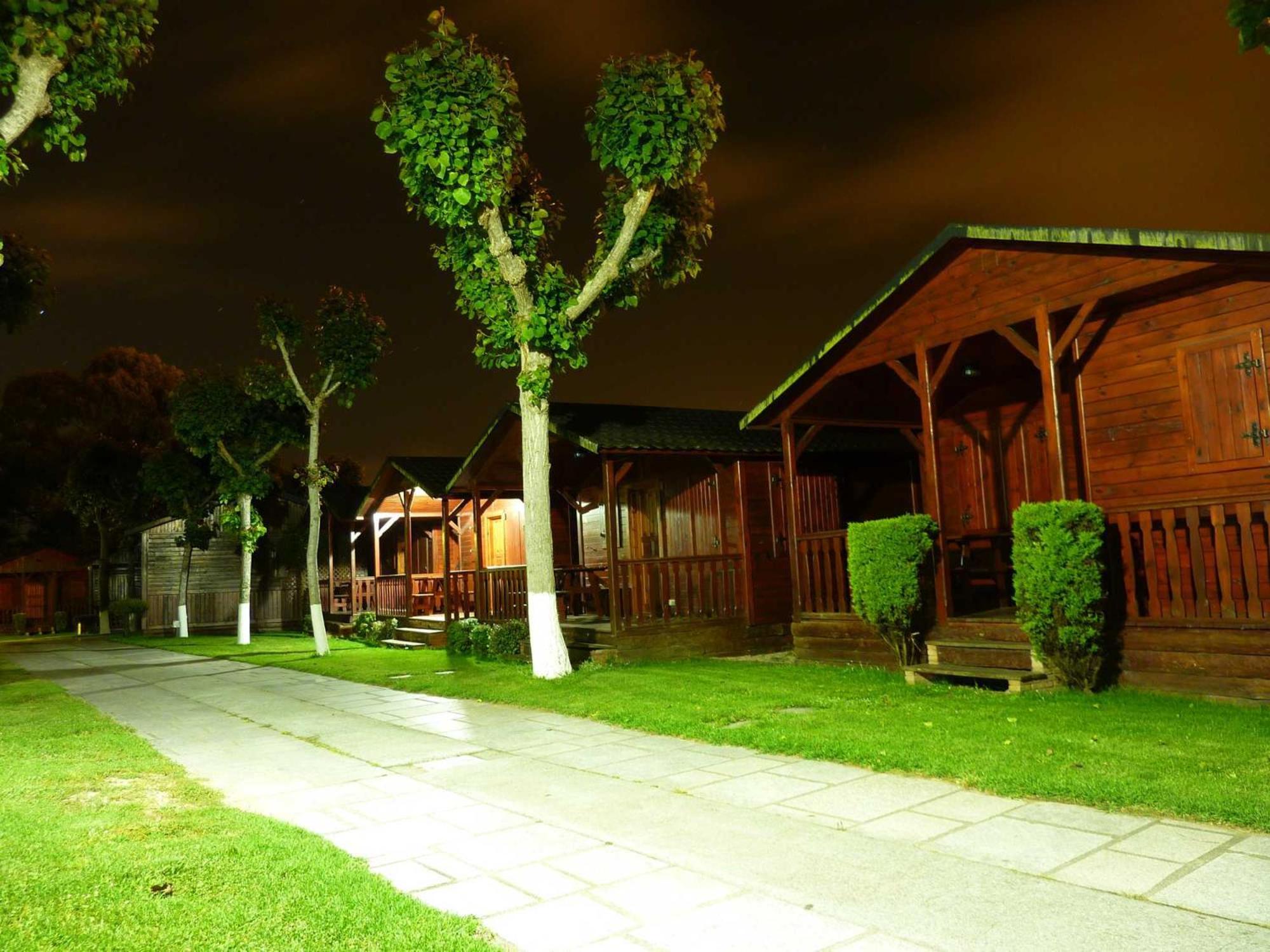 Photo 10