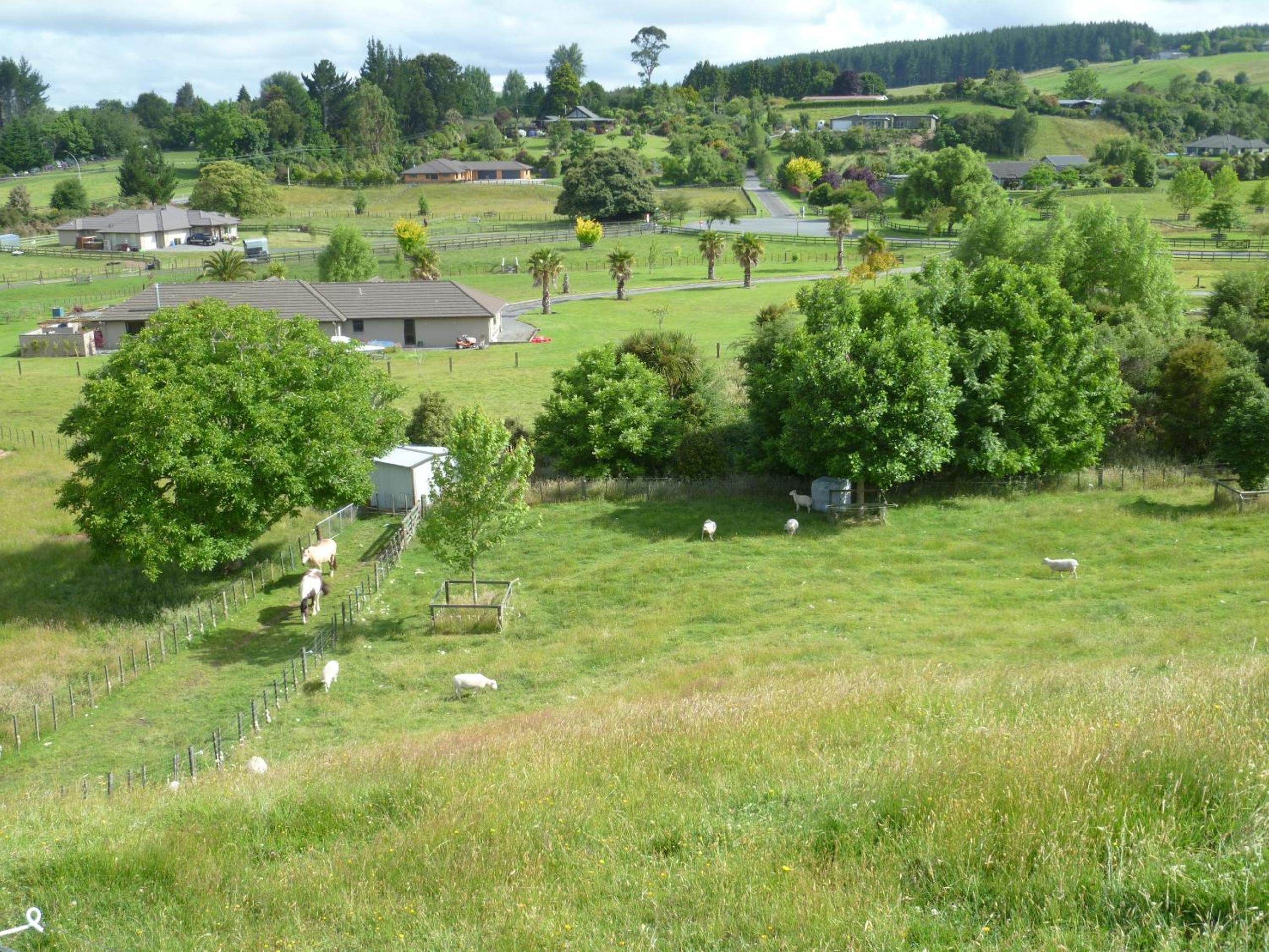Photo 21