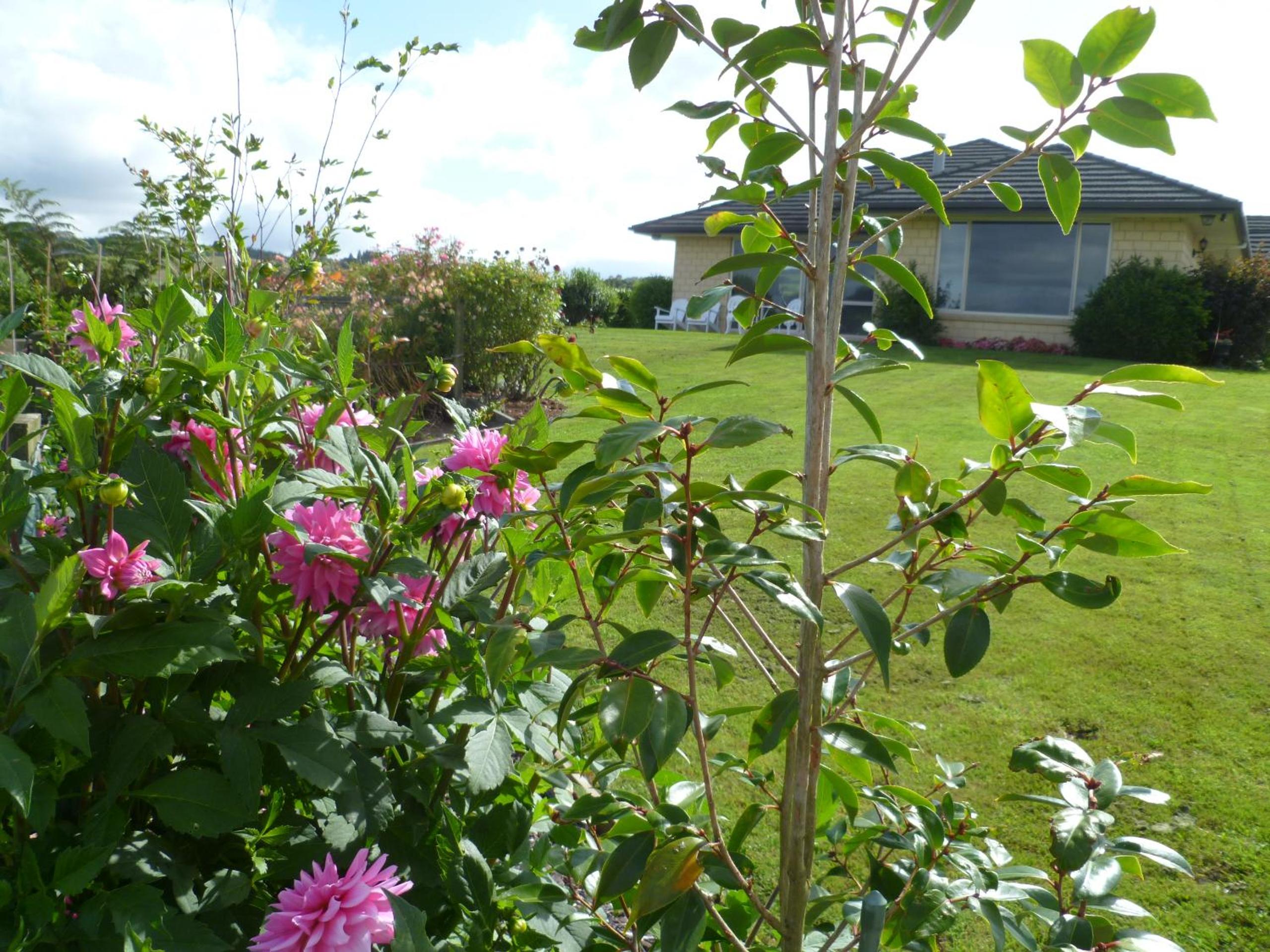 Photo 20