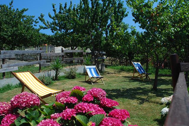 Agriturismo Terra e Cielo