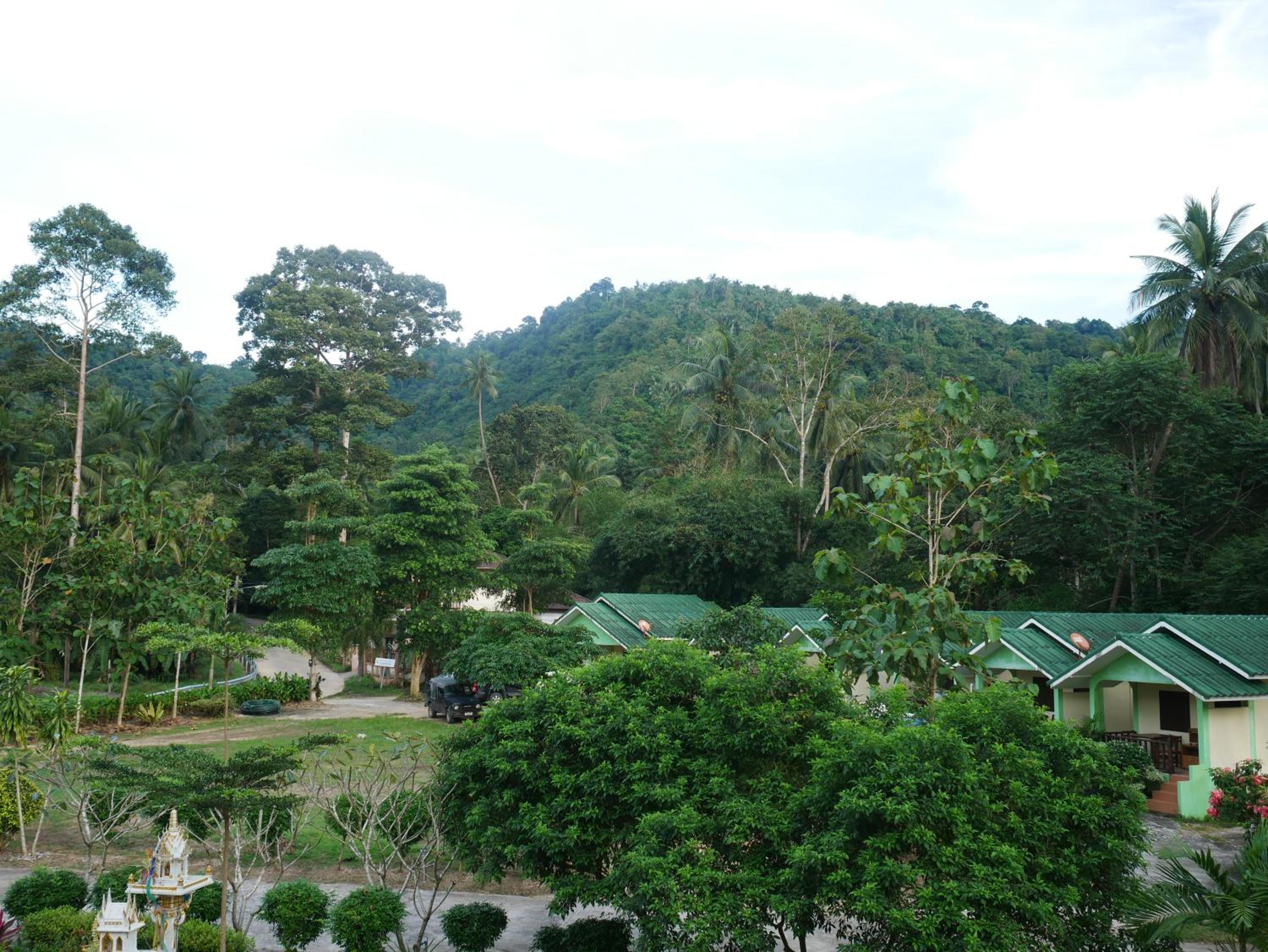 Tara Resort, photo 13