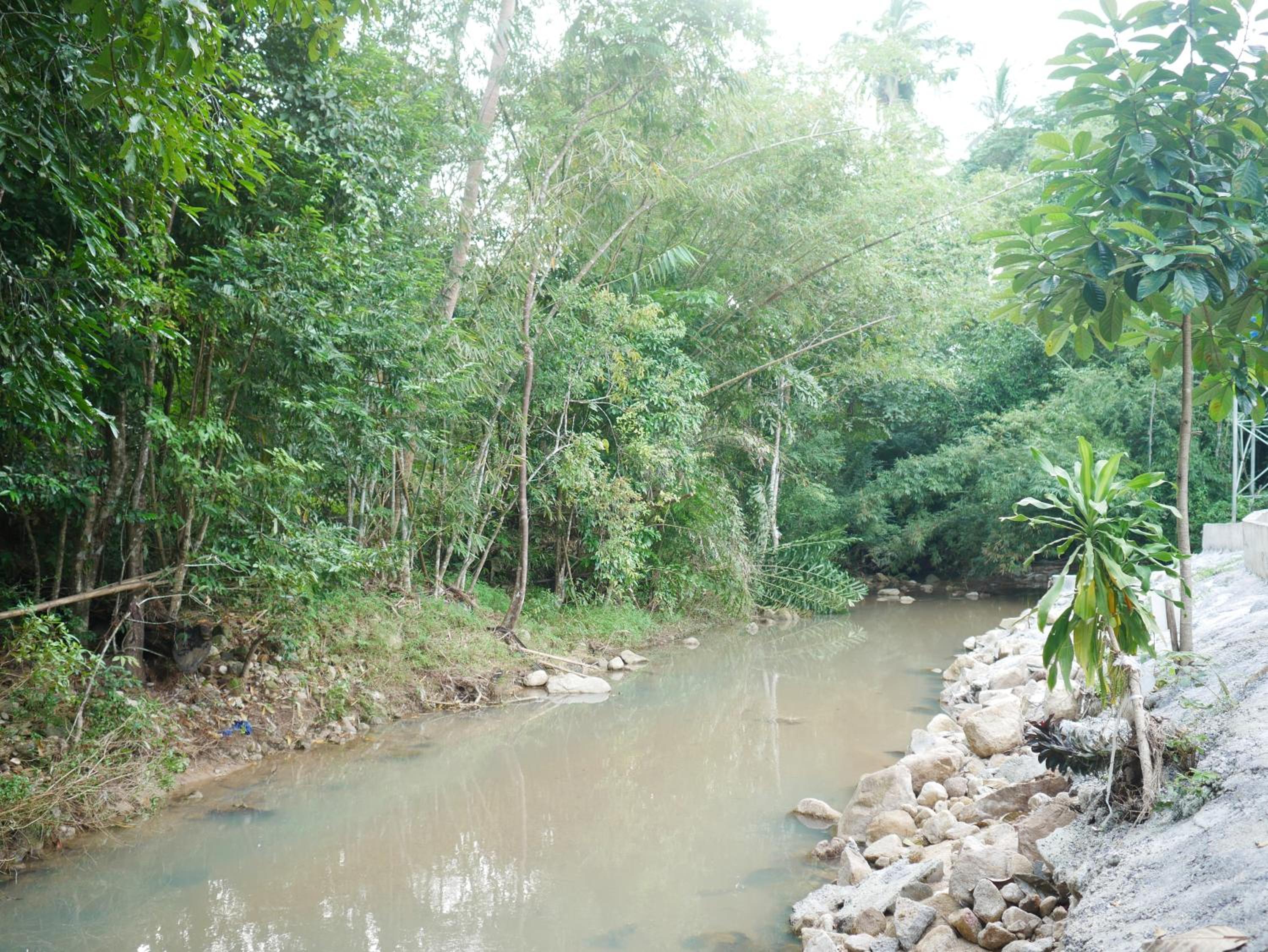 Tara Resort, photo 16