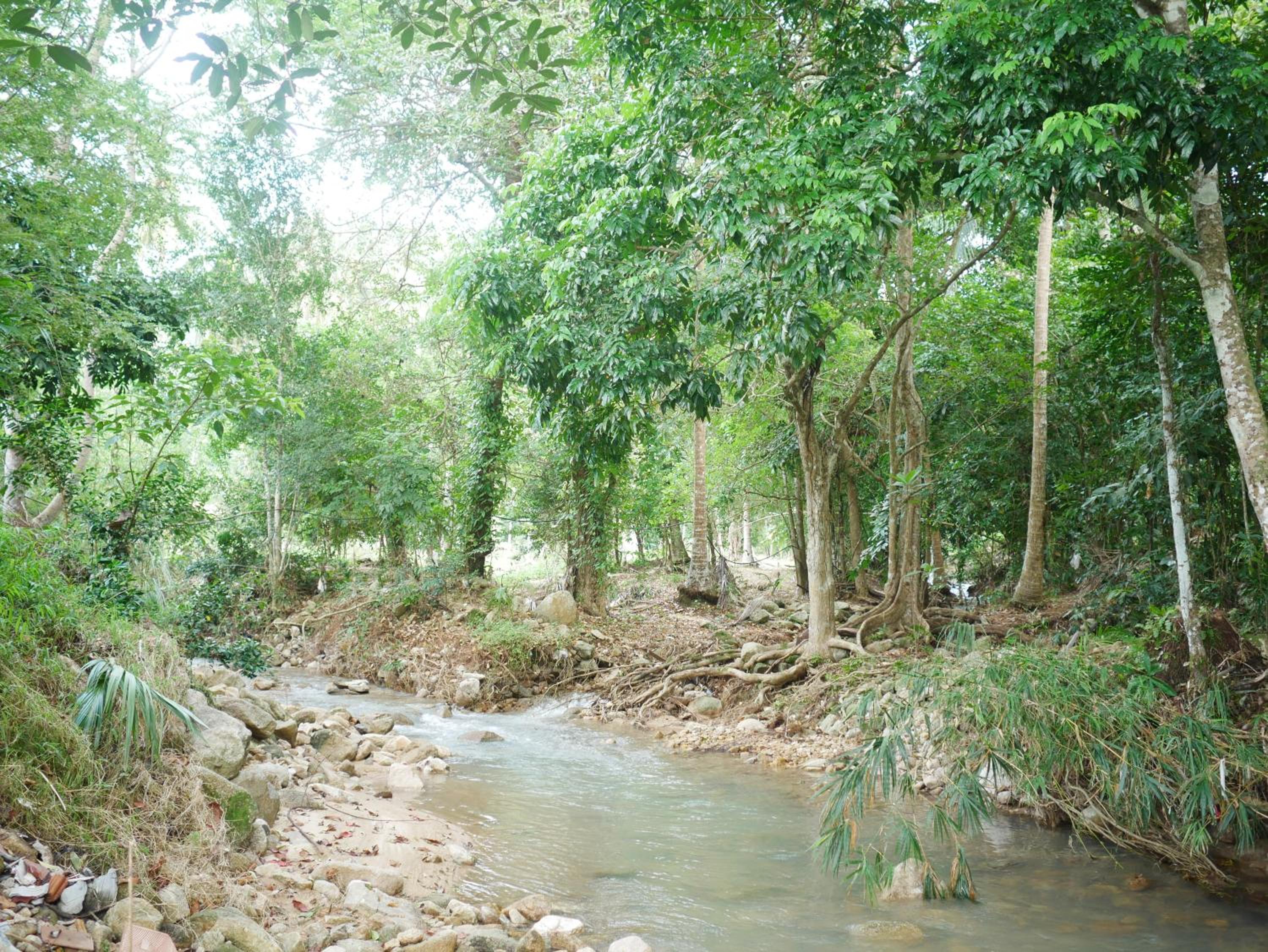 Tara Resort