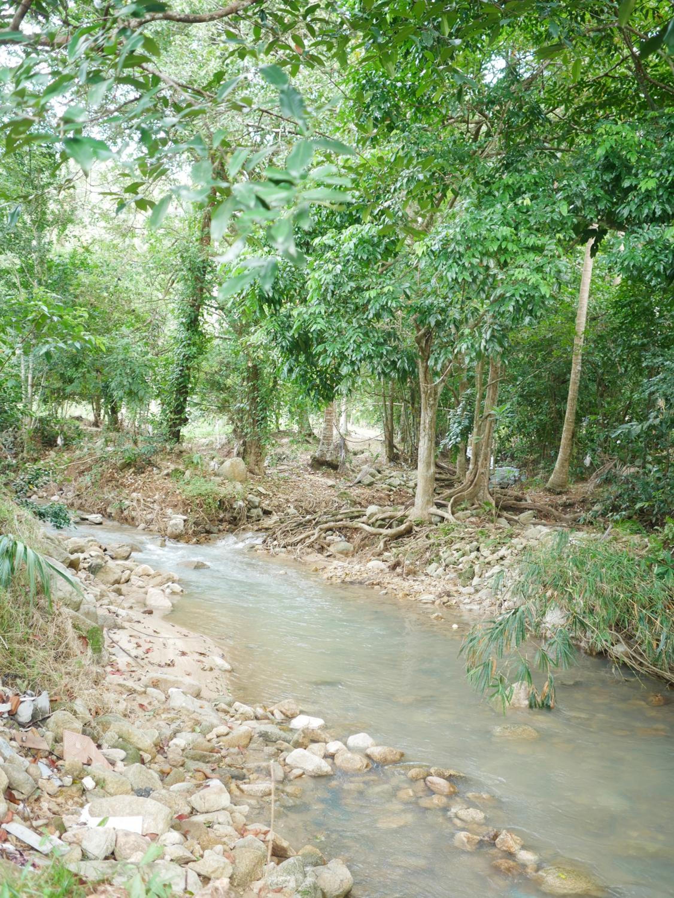 Tara Resort