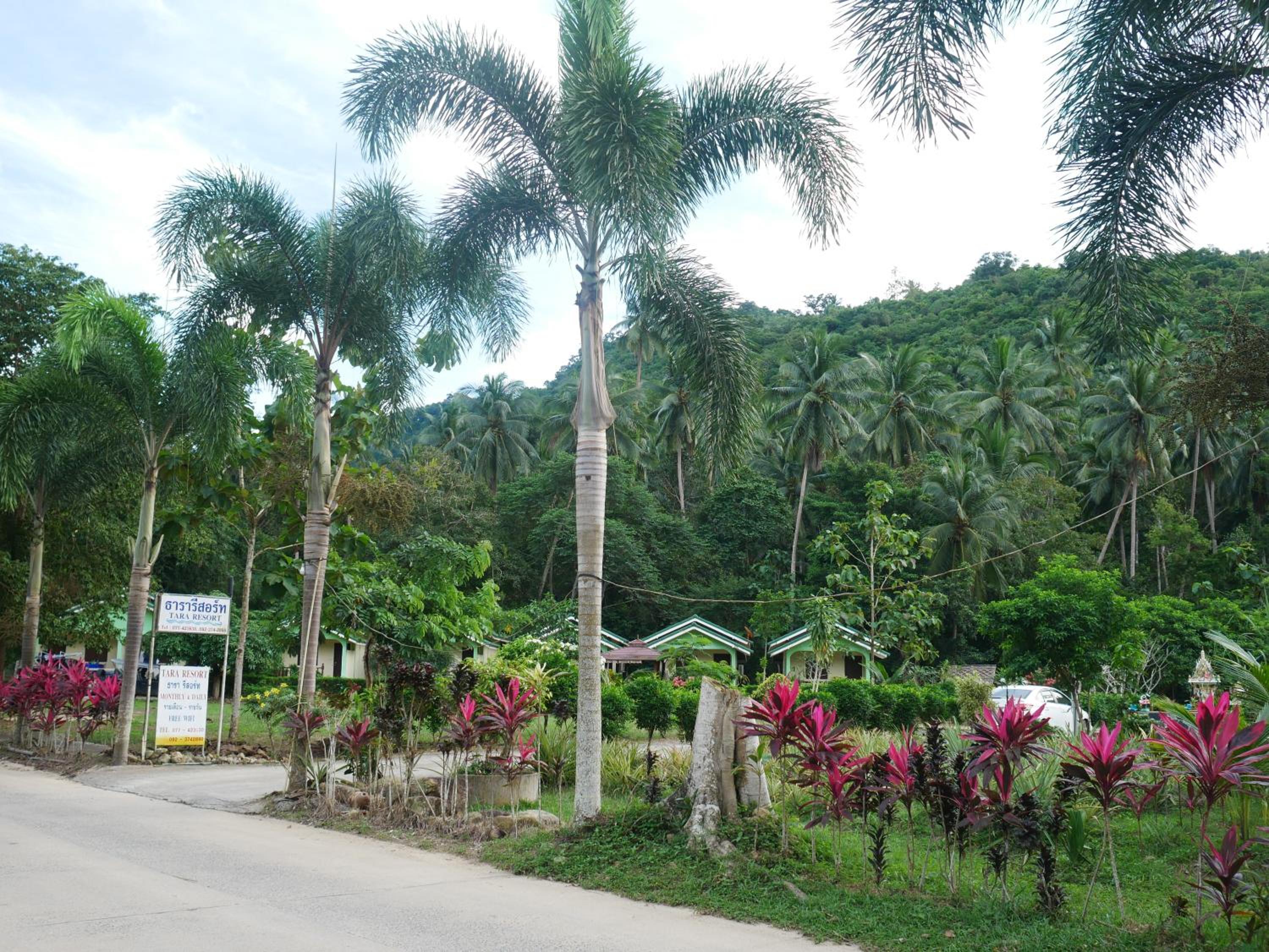 Tara Resort
