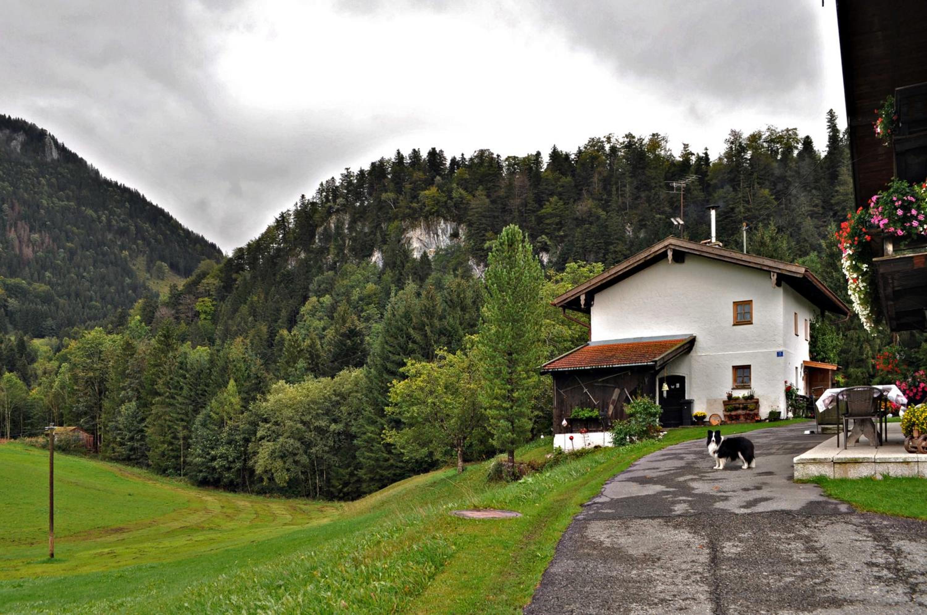 Greinhof view 5