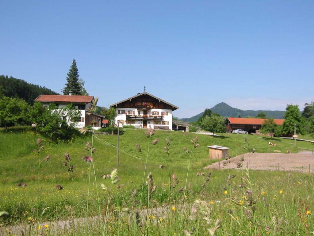 Greinhof view 4