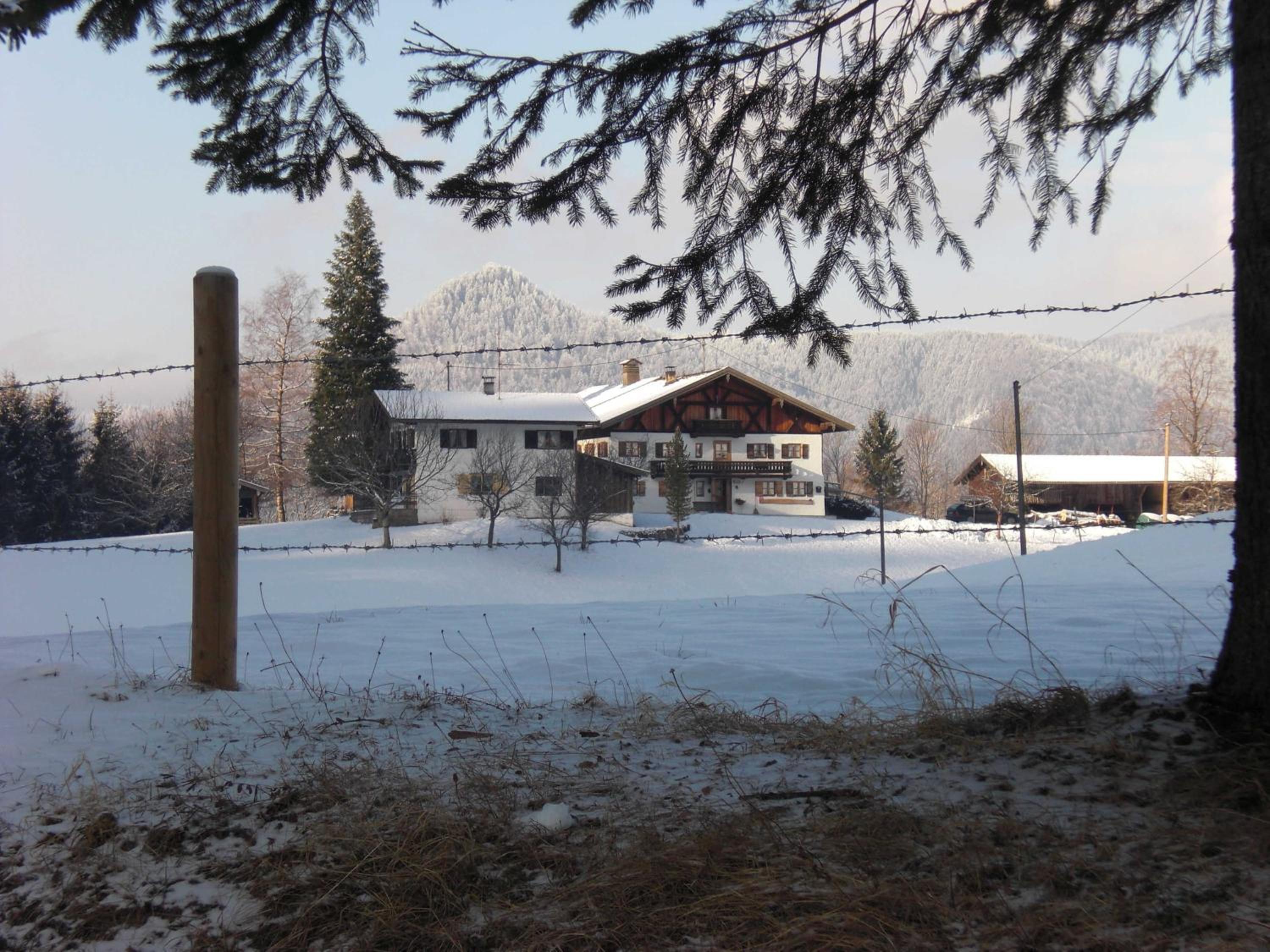 Photo 26