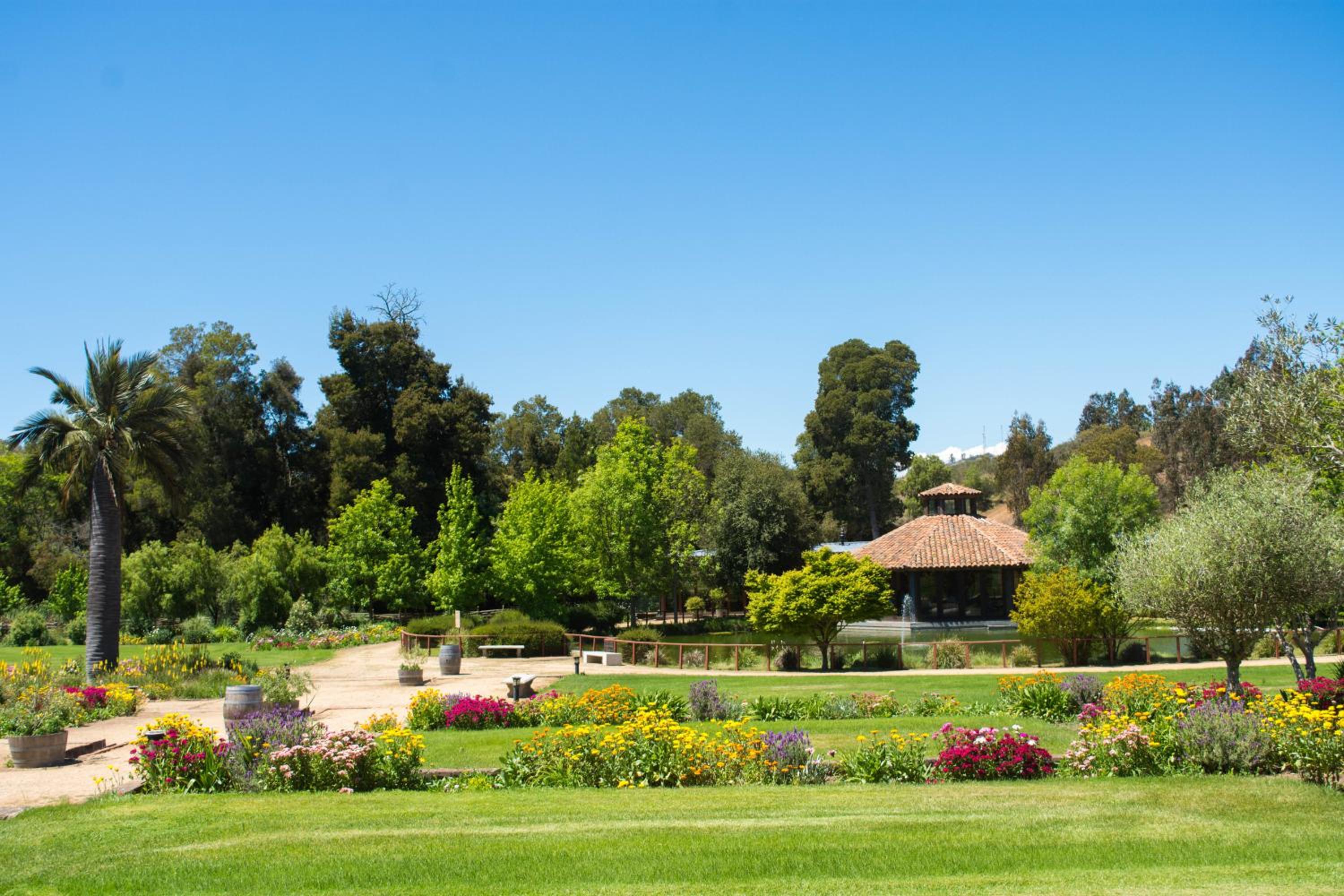 La Casona At Matetic Vineyards